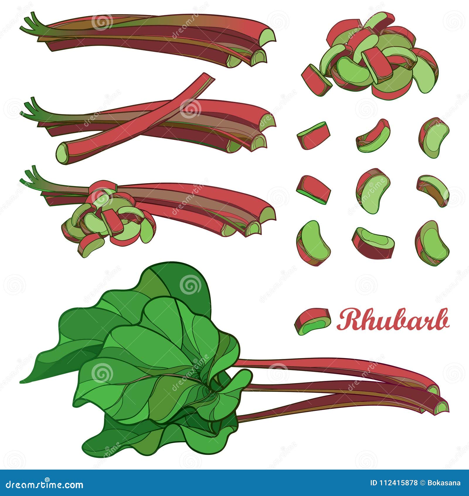  set with outline rhubarb or rheum vegetable in red and green  on white background. contour cut and whole pieces.