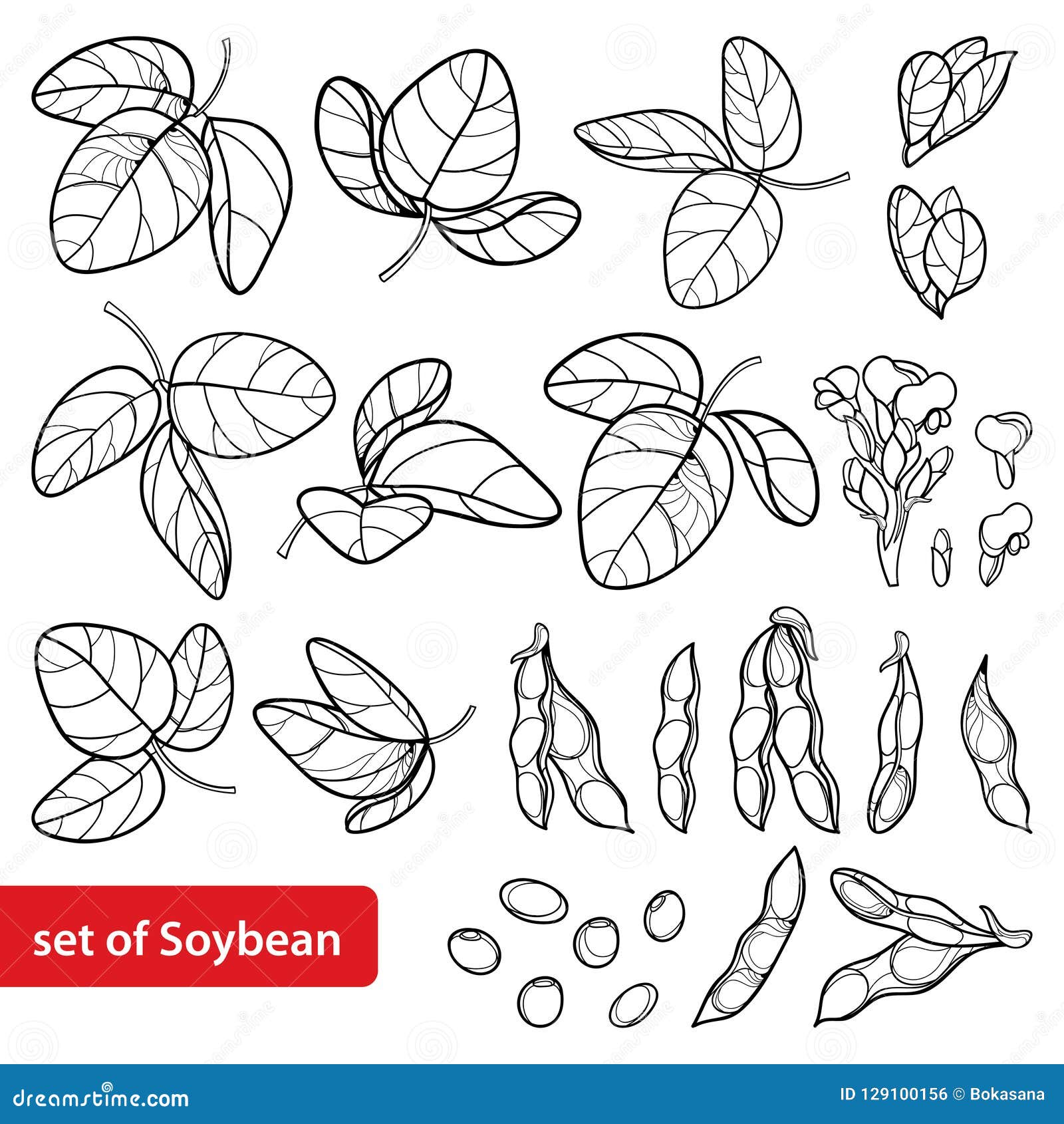 Soybean Plant Watercolor Illustration Coloring Page Black and White Cartoon  · Creative Fabrica