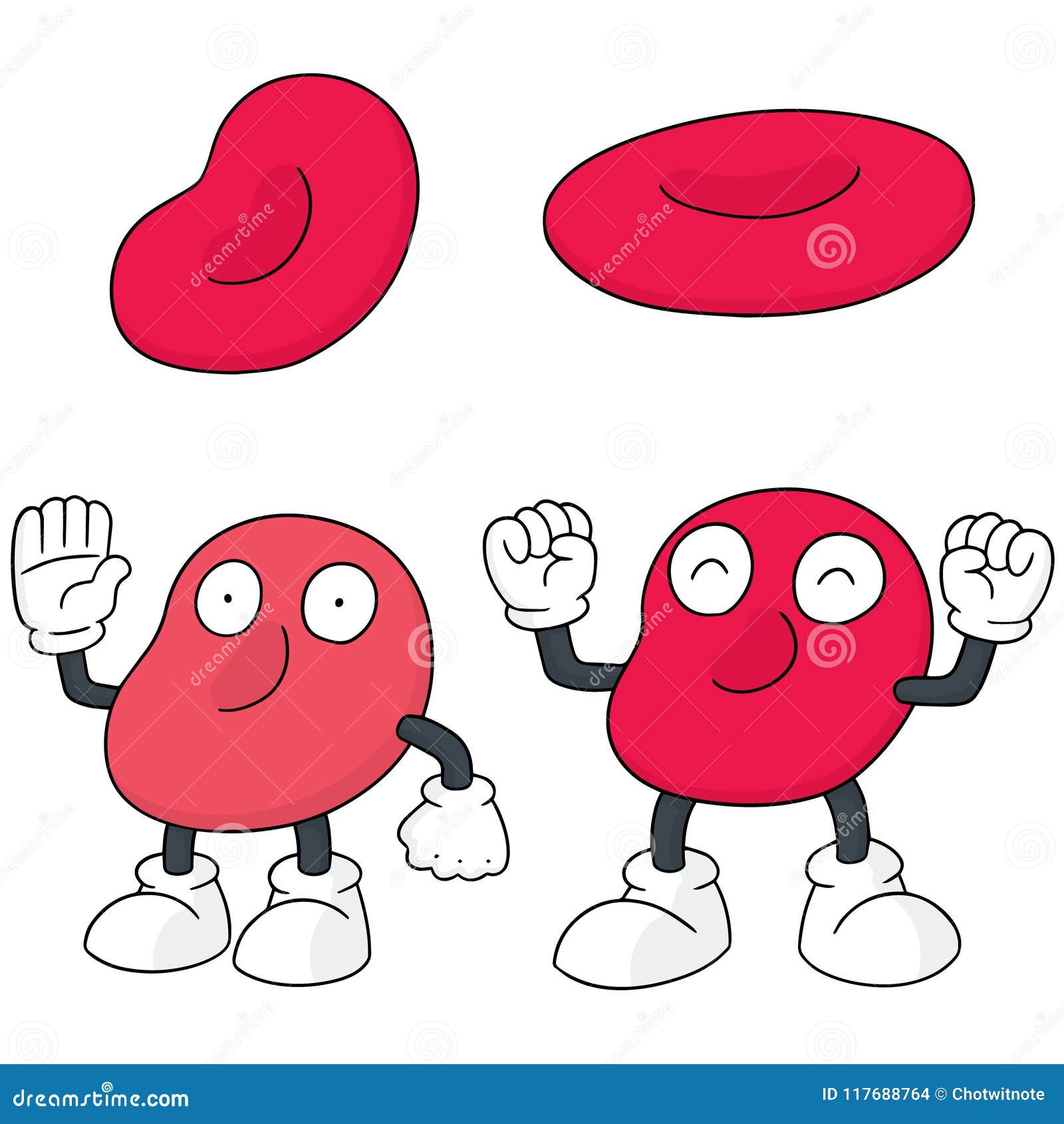 Red Blood Cell Drawing
