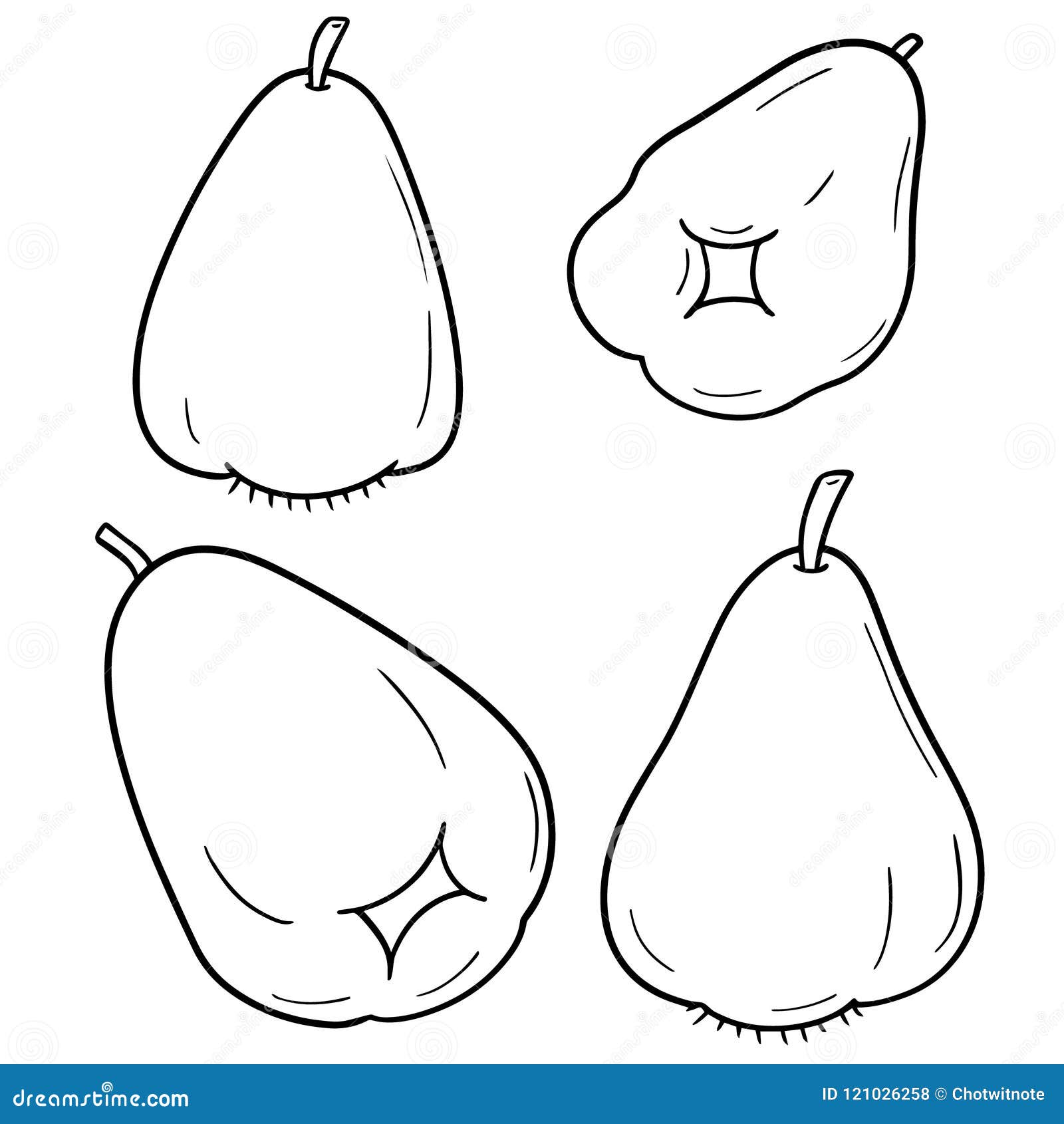 Vector set of rose apple stock vector. Illustration of freshness 121026258