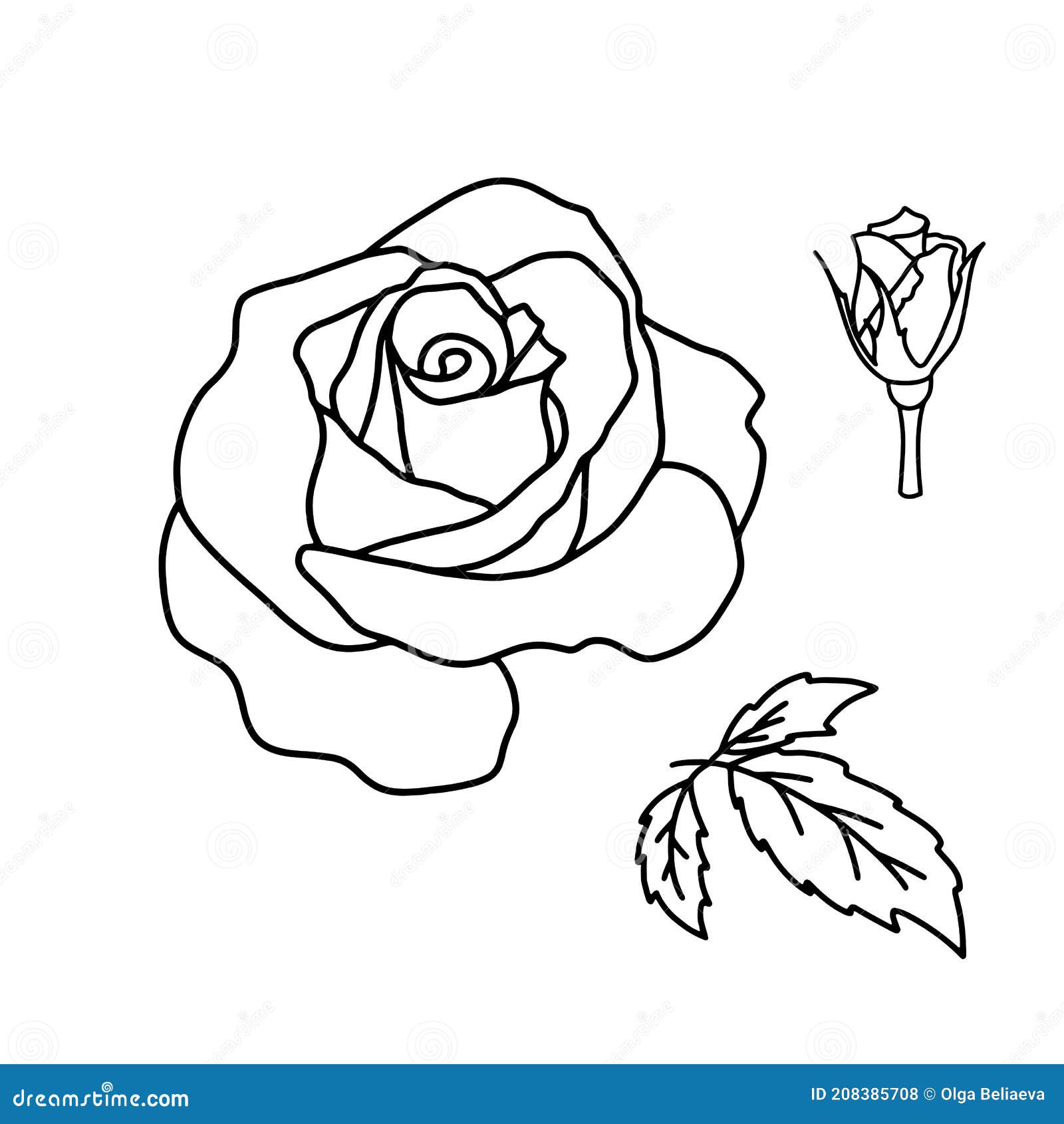 Vector Set of Rose Outline Flower and Leaves Isolated on White Stock ...