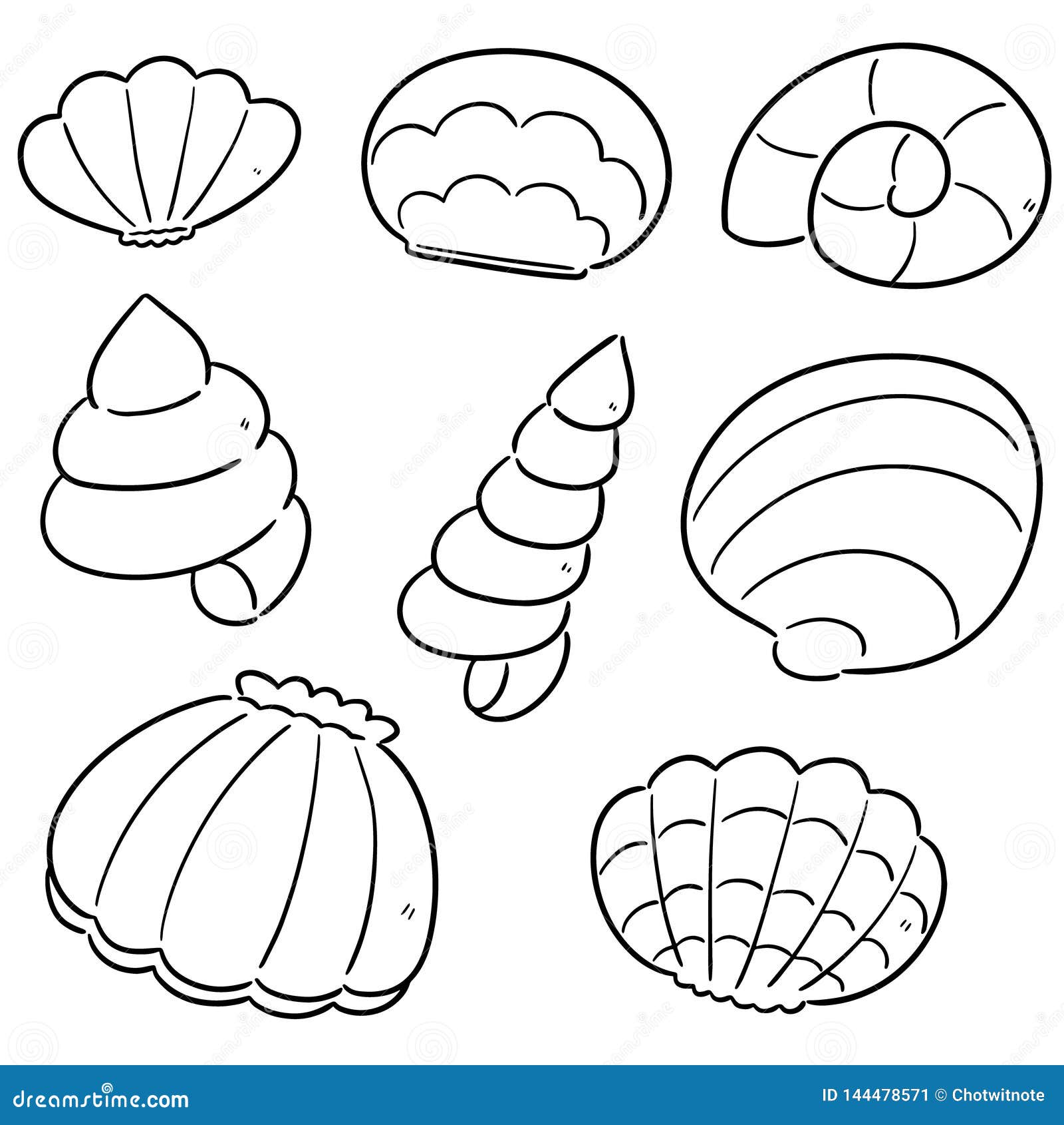 Vector set of sea shell stock vector. Illustration of oyster - 144478571 Vector set of sea shell stock vector. Illustration of oyster - 144478571