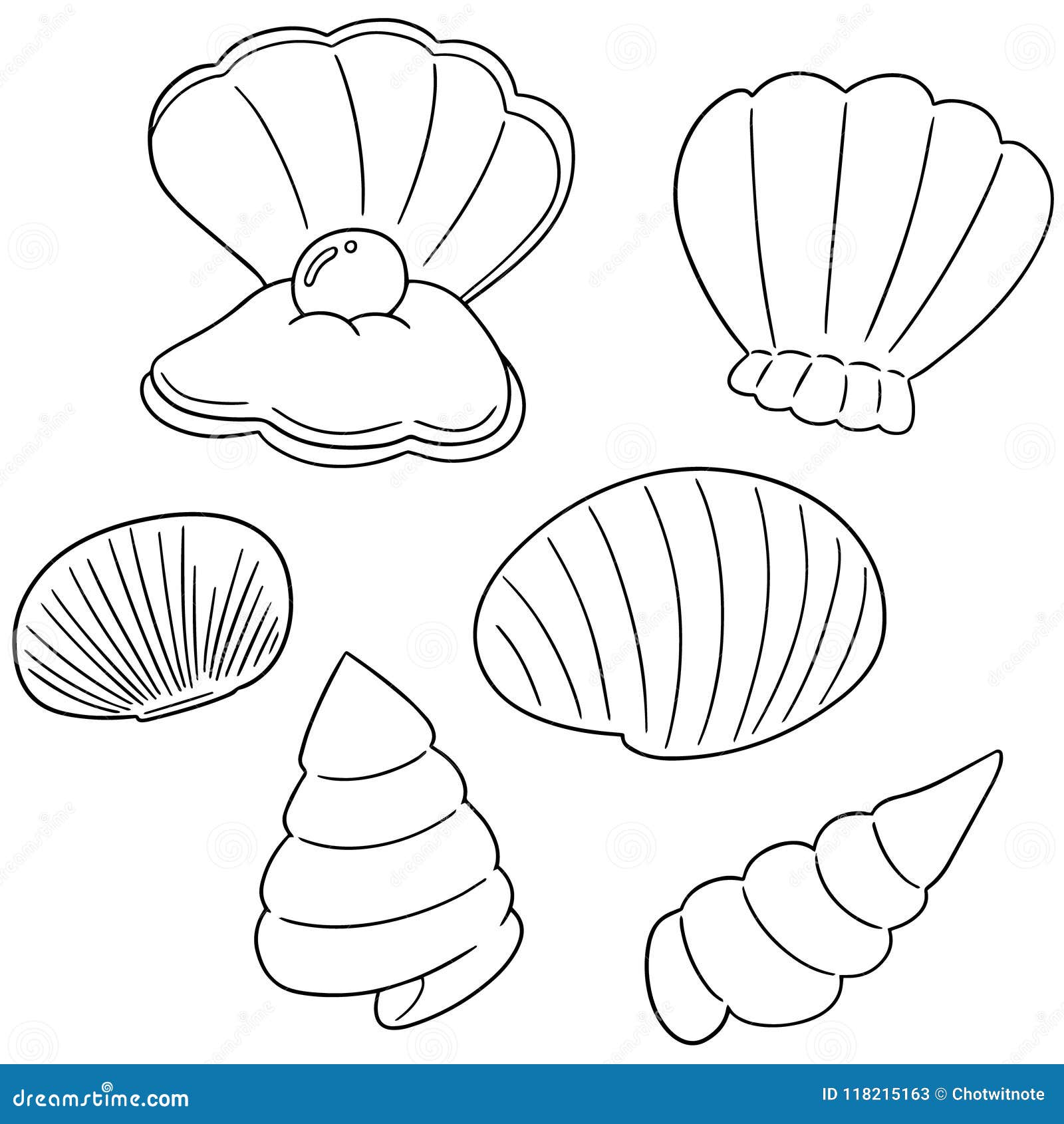 Vector set of sea shell stock vector. Illustration of shape - 118215163