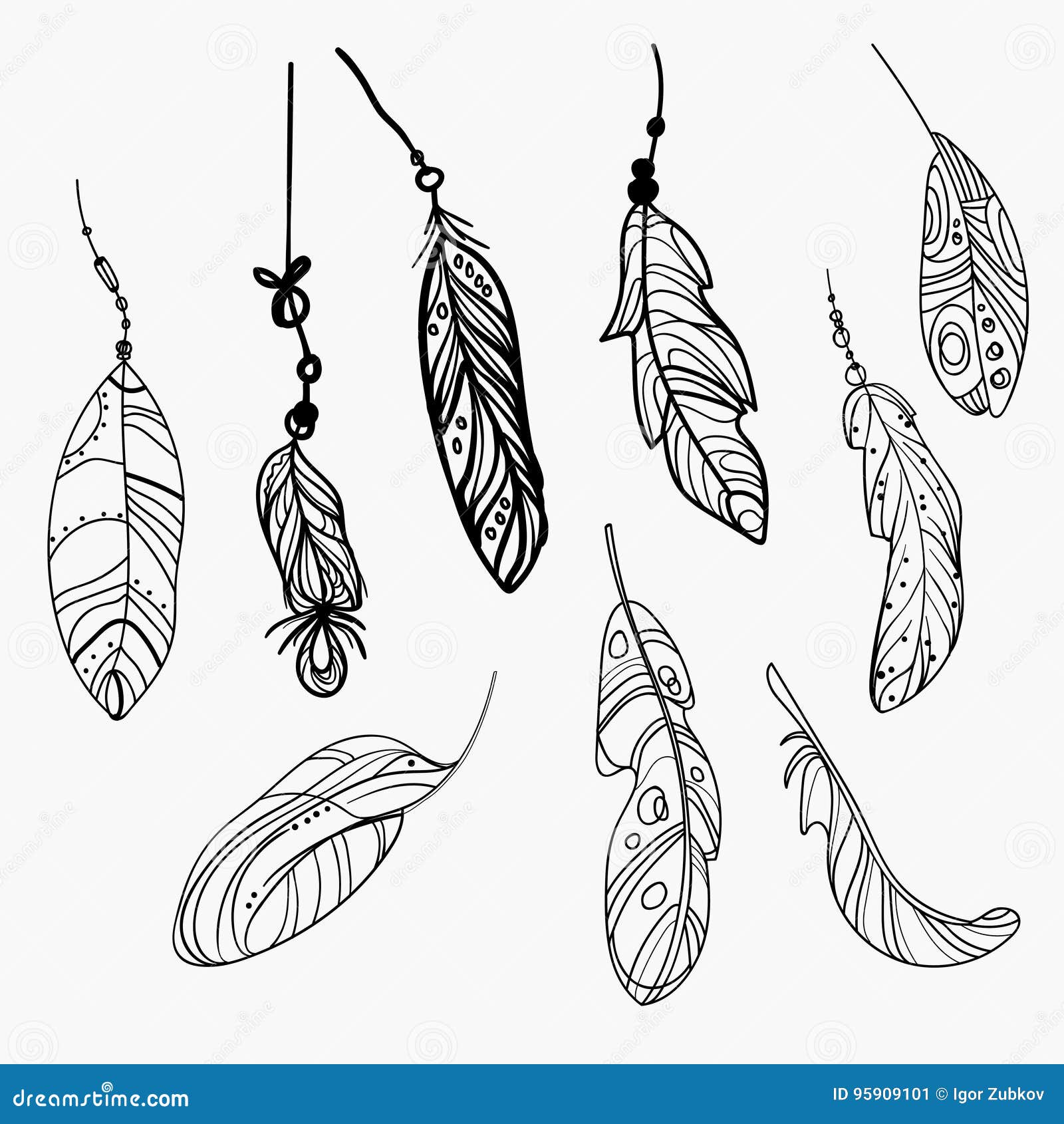 Set Of Bird Feathers Hand Drawn Illustration Converted To Vector Outline  With Transparent Background Stock Illustration - Download Image Now - iStock