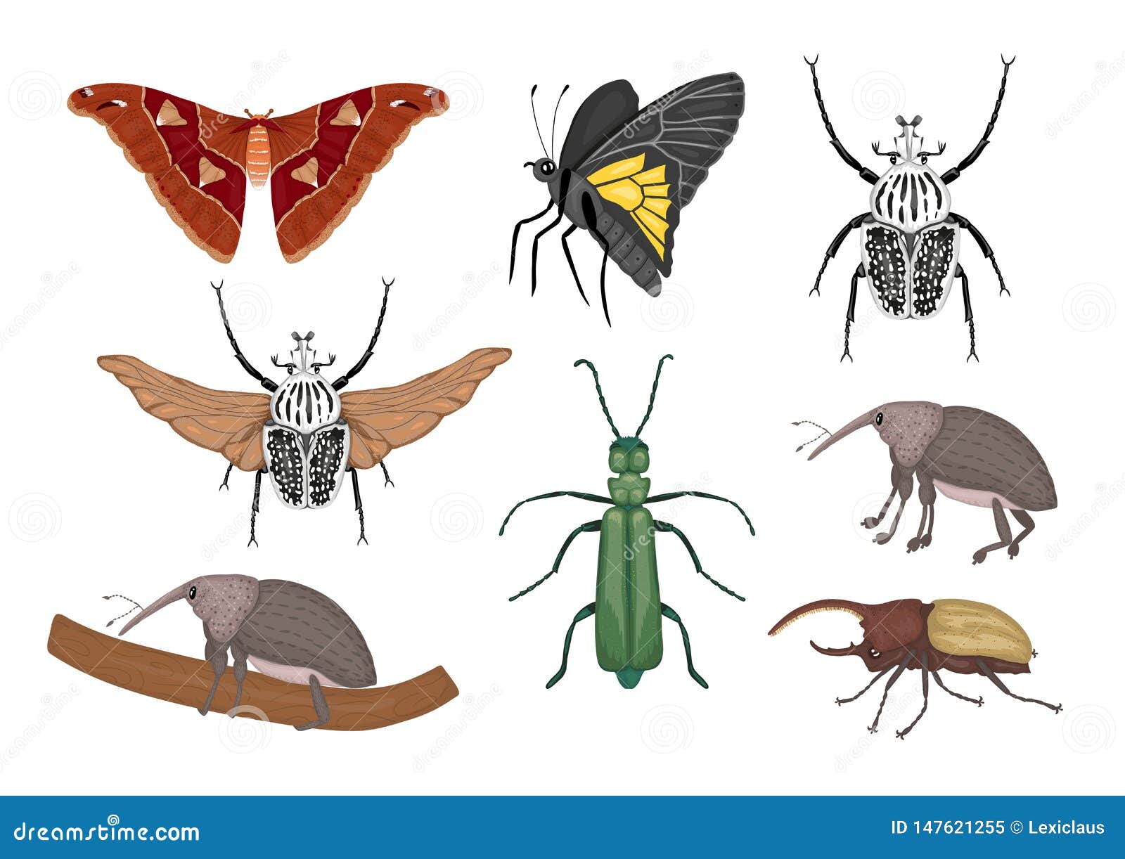 Vector Set of Tropical Insects Stock Vector - Illustration of isolated ...