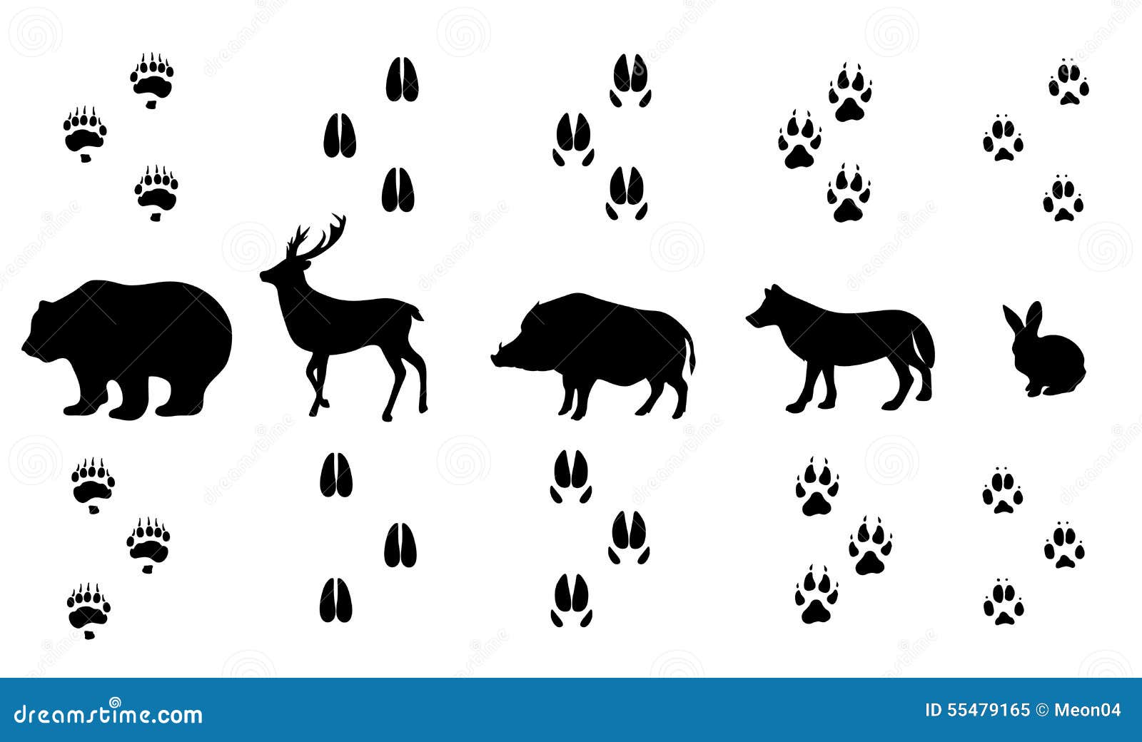 free clipart animal footprints - photo #33