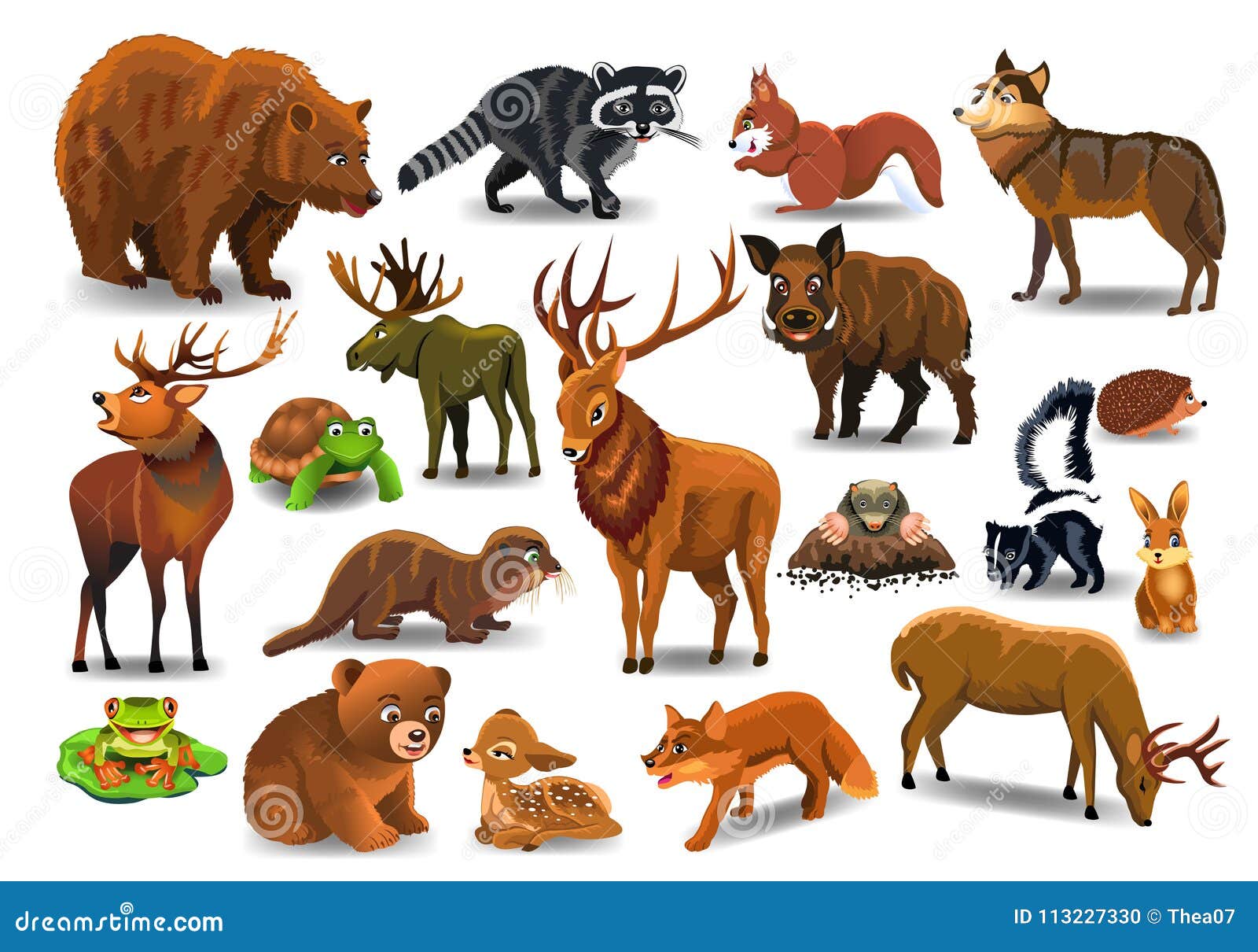  set of wild forest animals like stag, bear, wolf, fox, tortoise