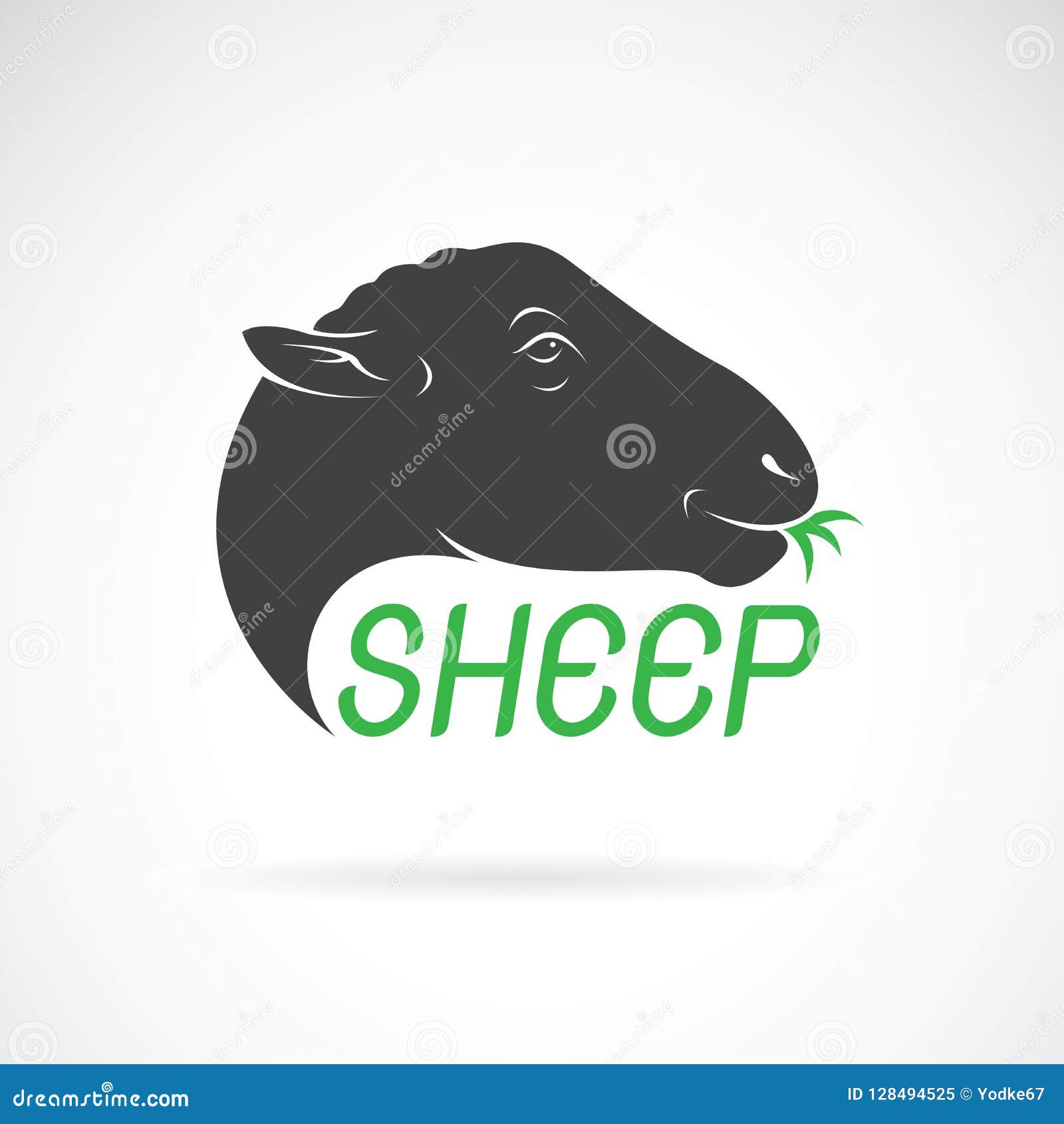 Vector Of Sheep Head Design On White Background. Wild Animals. Stock