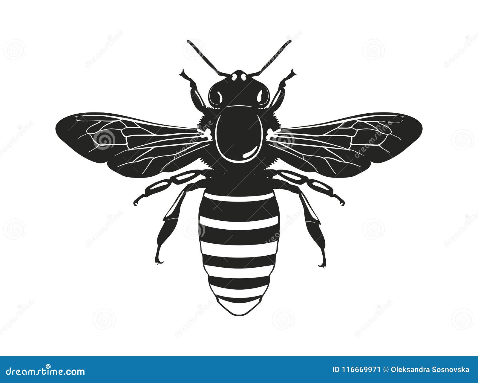 Download Image Of The Bee Silhouette. View From Above. Vector ...