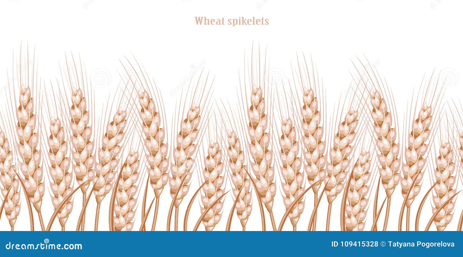 Vector Silhouette of Wheat. Wheat in the Field on a White Background