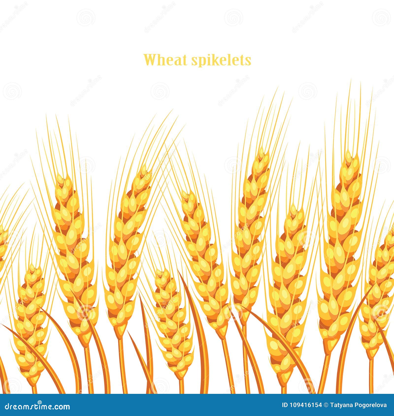 Vector Silhouette of Wheat. Wheat in the Field on a White Background