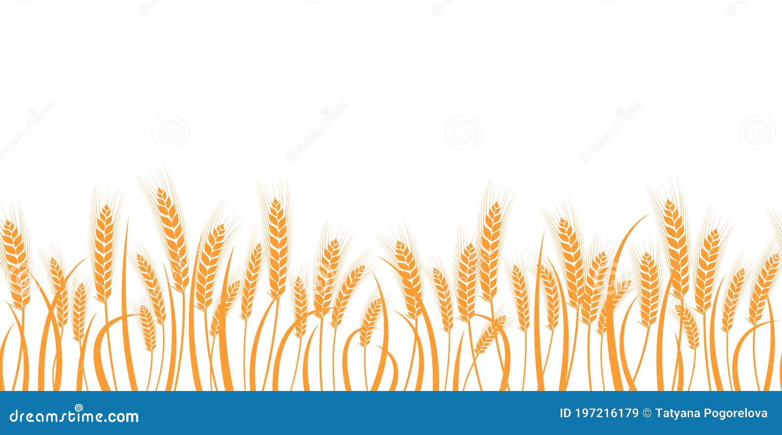 Vector Silhouette of Wheat. Wheat in the Field on a White Background