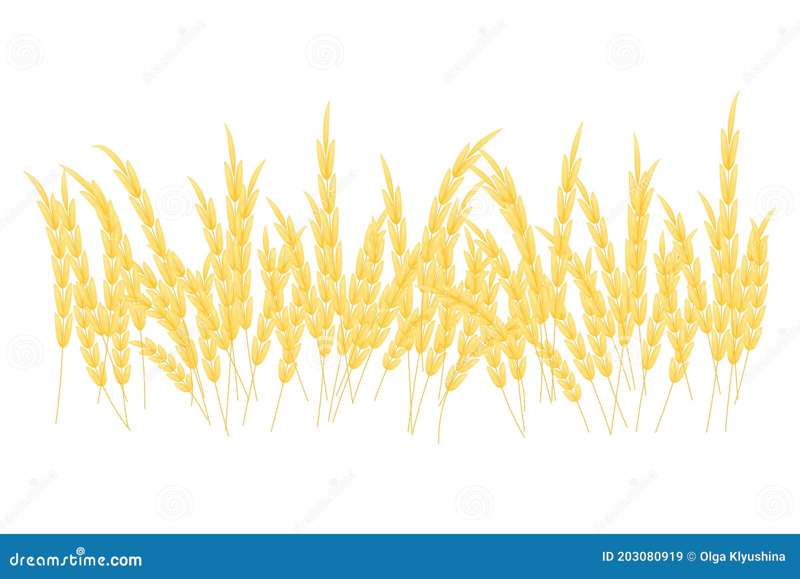 Vector Silhouette of Wheat. Wheat in the Field on a White Background