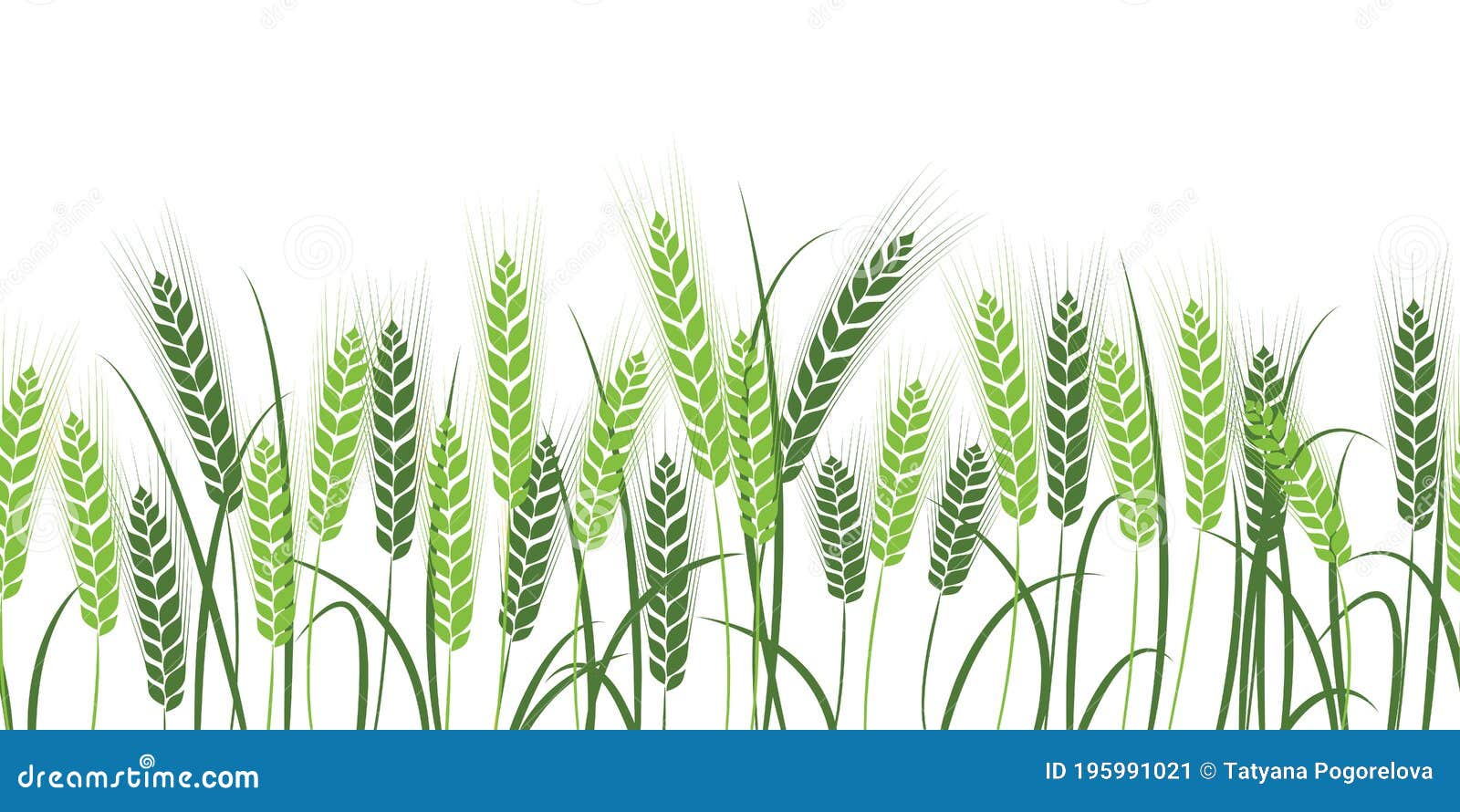 Vector Silhouette of Wheat. Wheat in the Field on a White Background