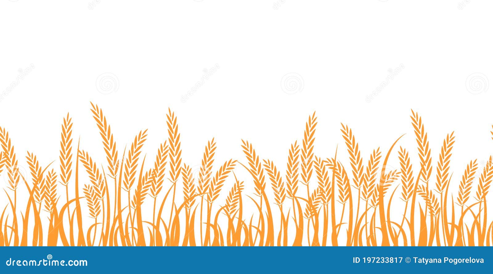 Vector Silhouette of Wheat. Wheat in the Field on a White Background
