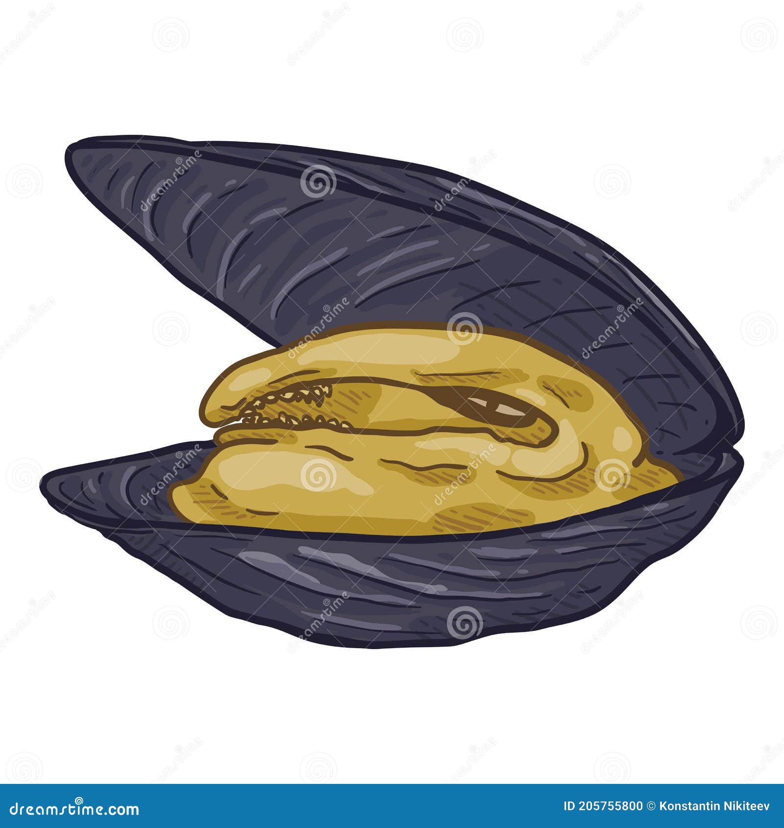 Vector Single Cartoon Mussel Illustration Stock Vector - Illustration