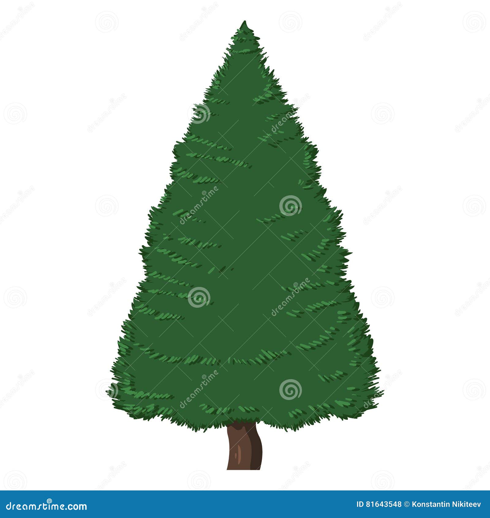 Cartoon Pine Tree 62521031