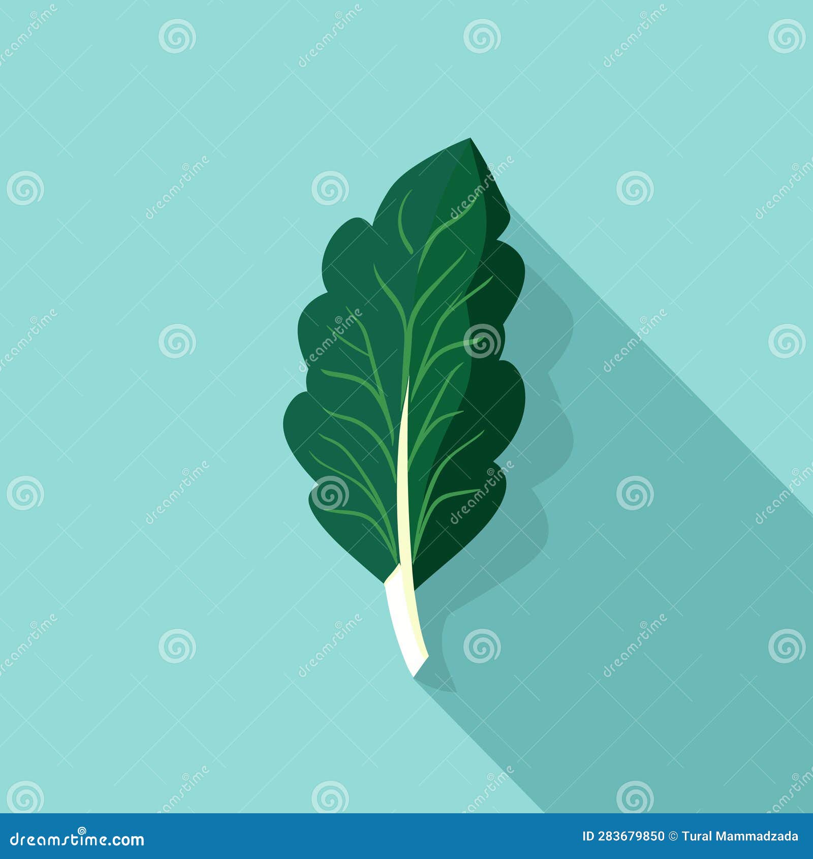 Vector of a Single Lettuce Leaf on a Vibrant Blue Background Stock