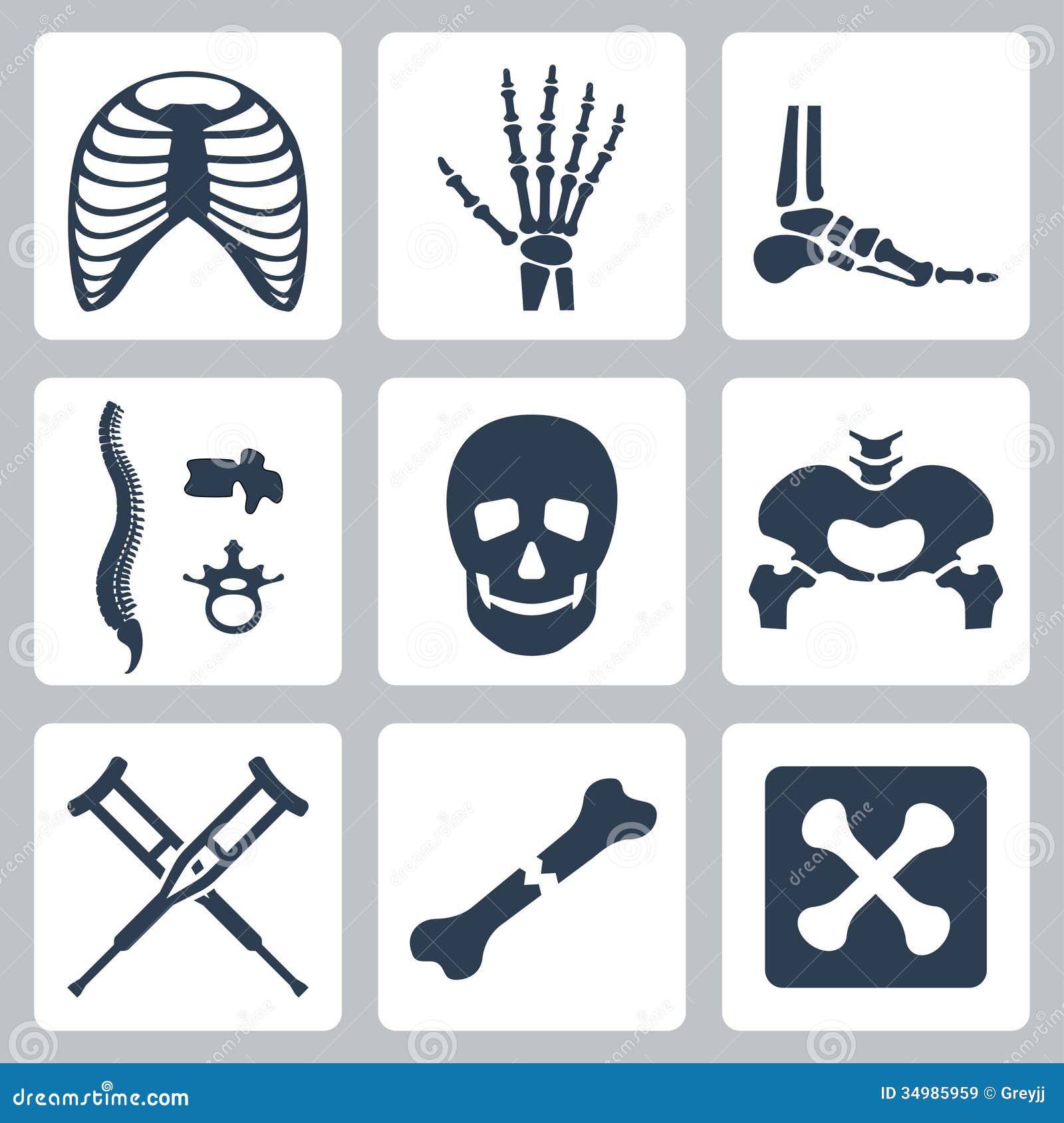 Vector skeleton icons set stock vector. Illustration of design 34985959