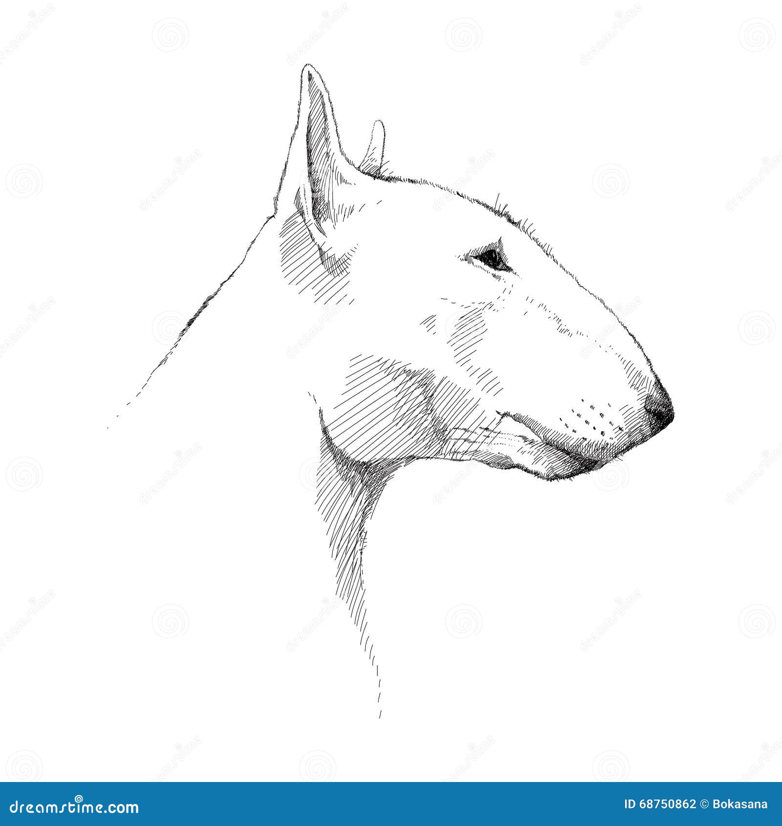 Dog Profile Drawing
