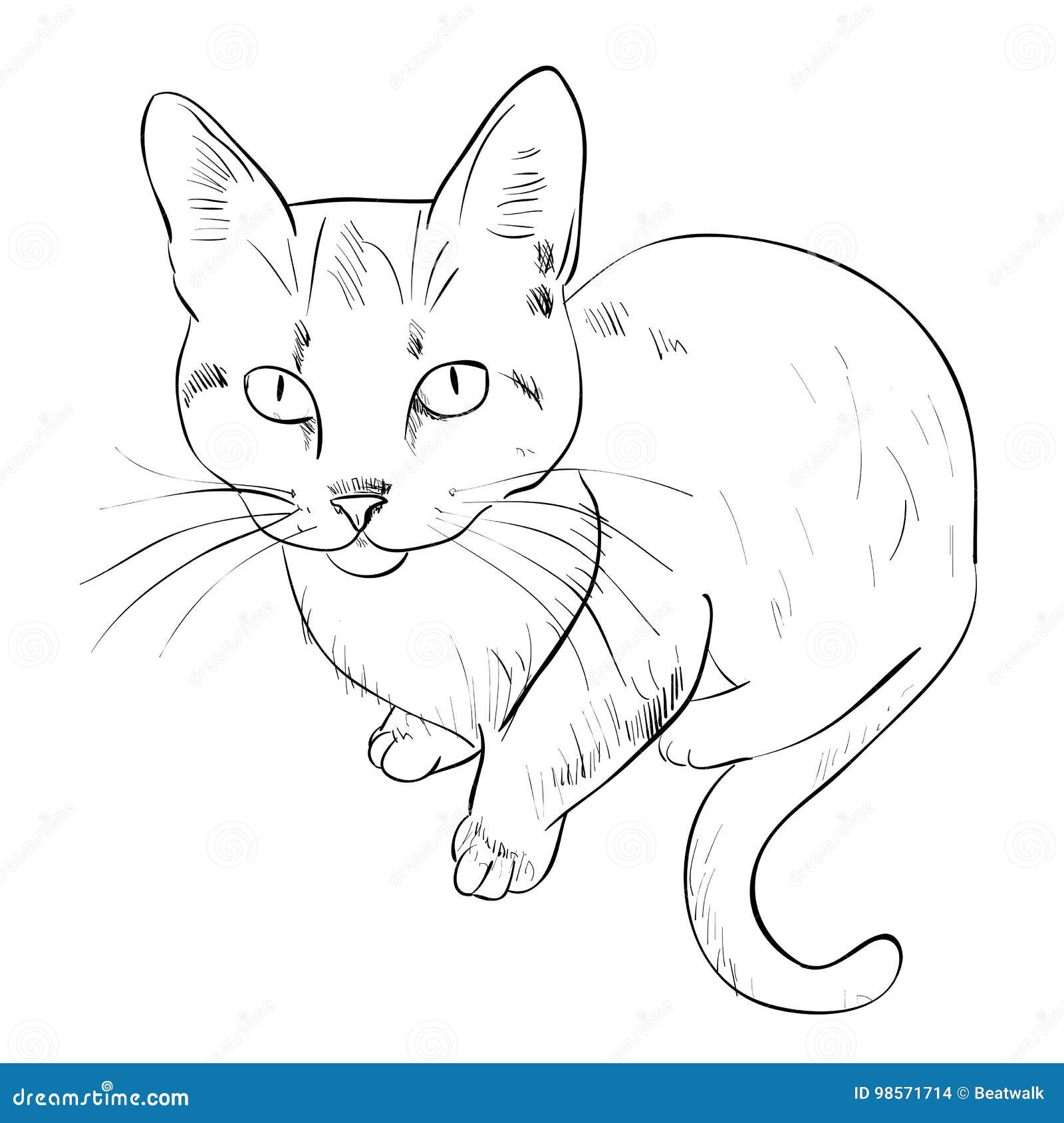 Vector sketch of cat. stock vector. Illustration of artwork - 98571714