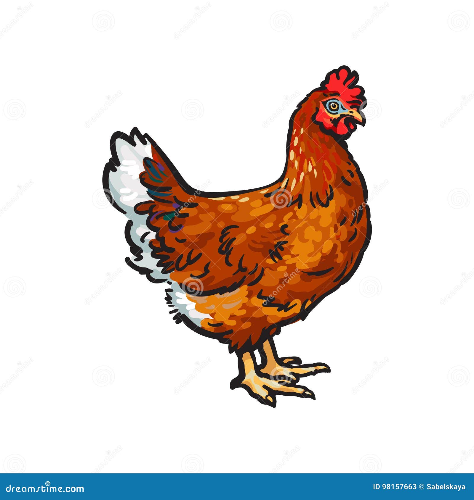Fried Hen Sketch: Over 784 Royalty-Free Licensable Stock Vectors & Vector  Art | Shutterstock