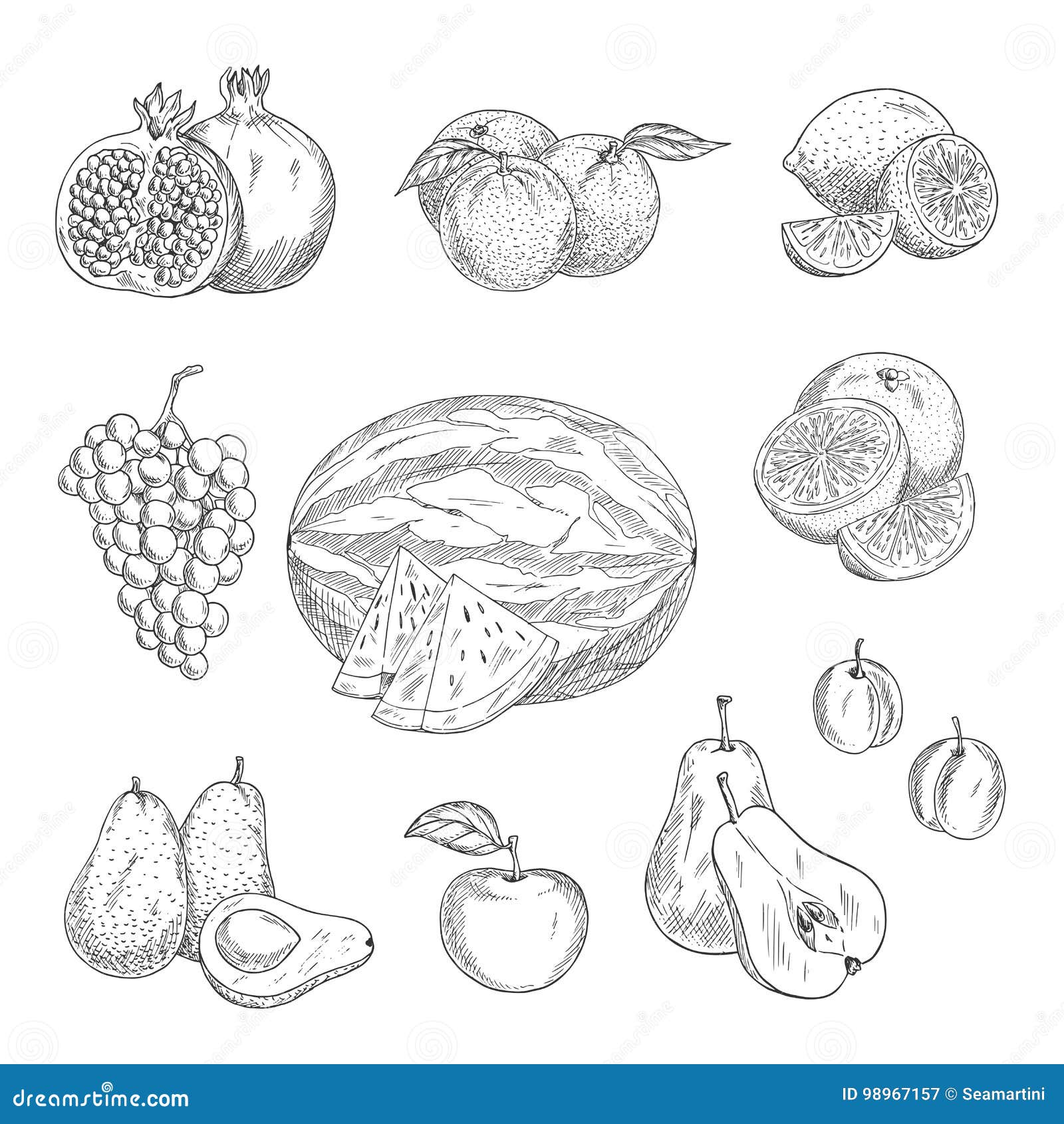 Vector Sketch Icons of Exotic and Garden Fruits Stock Vector ...