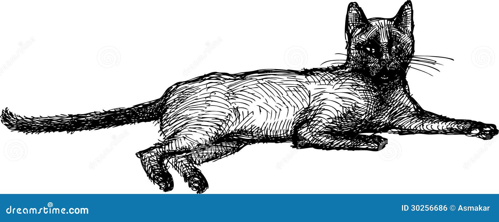 4533 Sleeping Cat Line Drawing Images Stock Photos  Vectors   Shutterstock