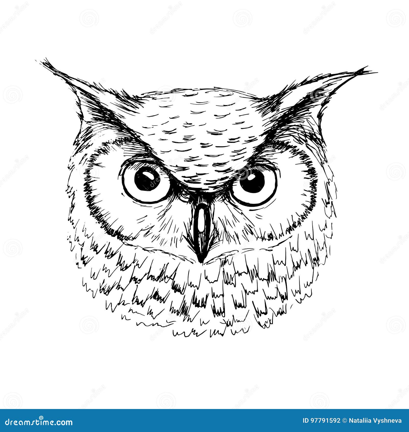 Owl Sketches Stock Illustrations – 151 Owl Sketches Stock Illustrations,  Vectors & Clipart - Dreamstime