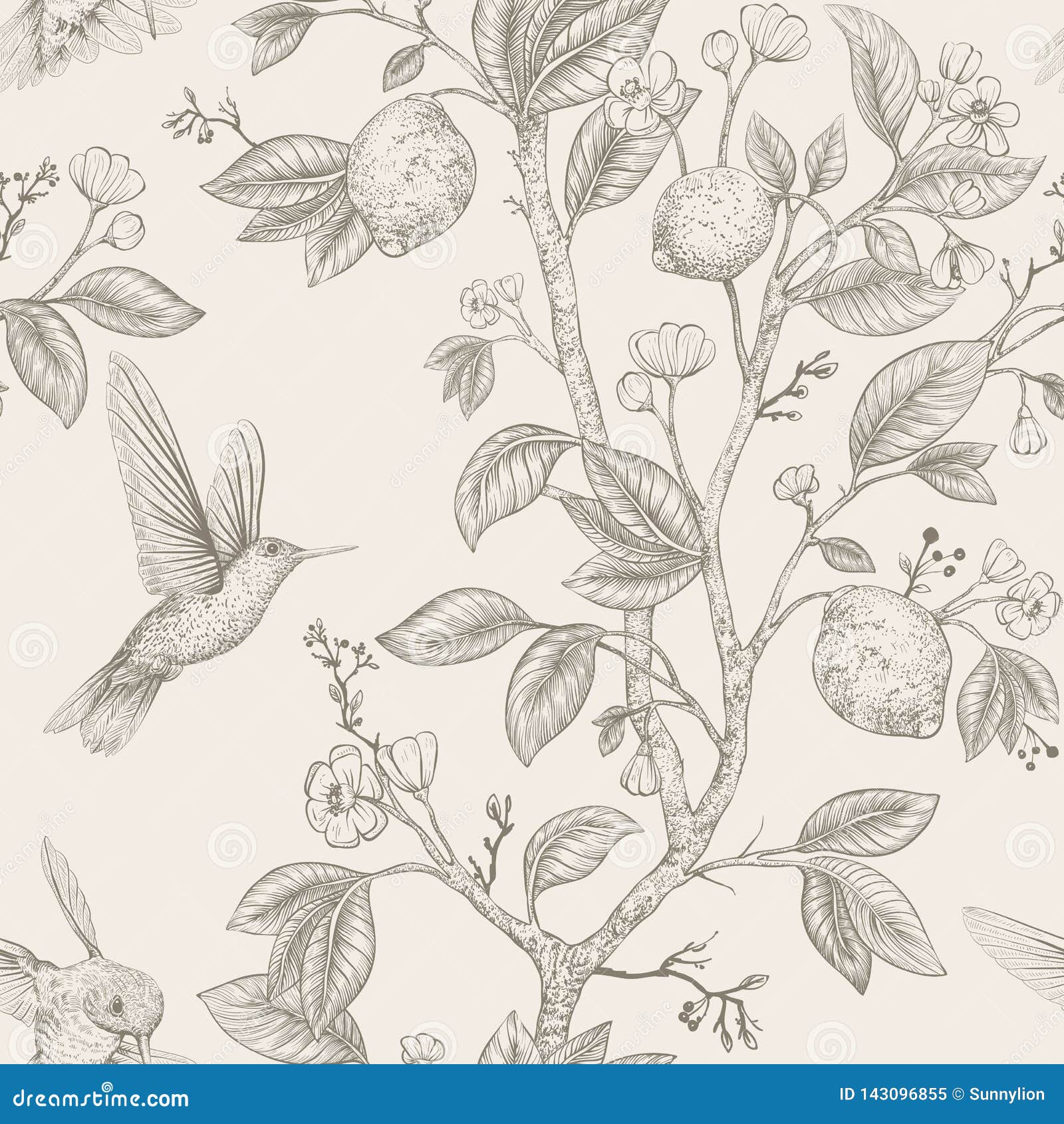  sketch pattern with birds and flowers. hummingbirds and flowers, retro style, nature backdrop. vintage monochrome