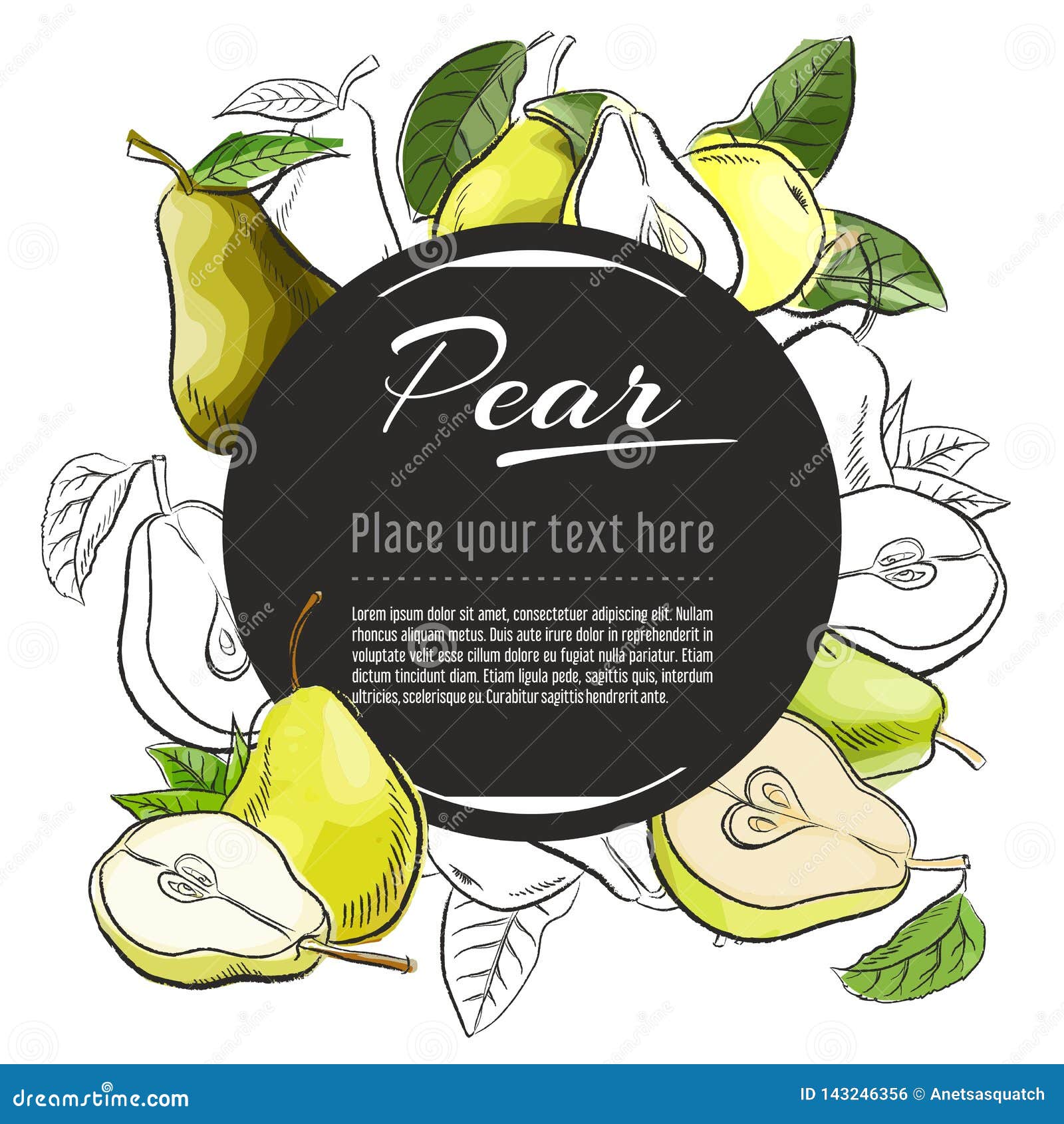  sketch pear  banner on white background. with place for text. hand drawn sketch fruit graphic v