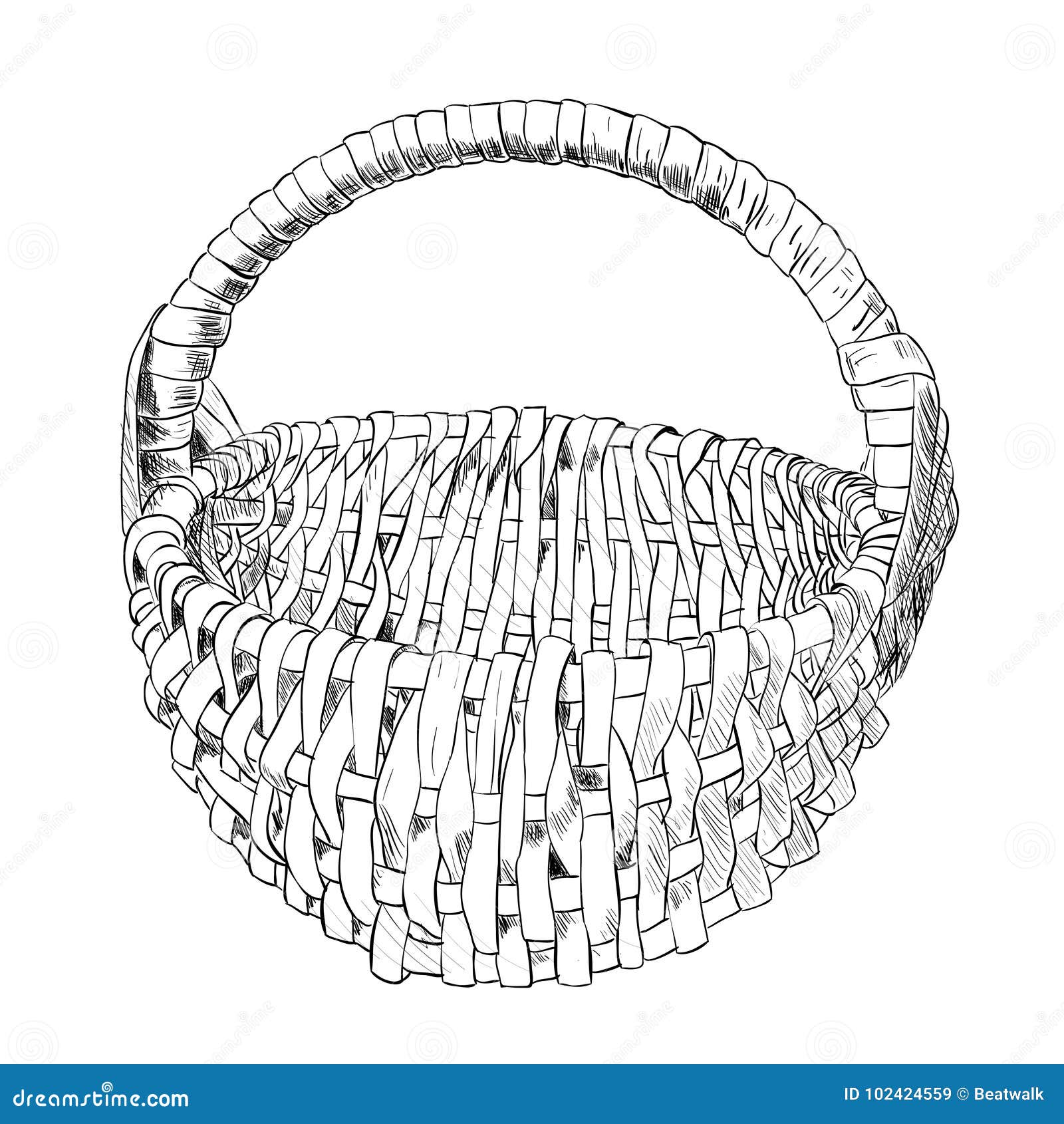 Vector Sketch of Wicker Basket Stock Vector Illustration of cane