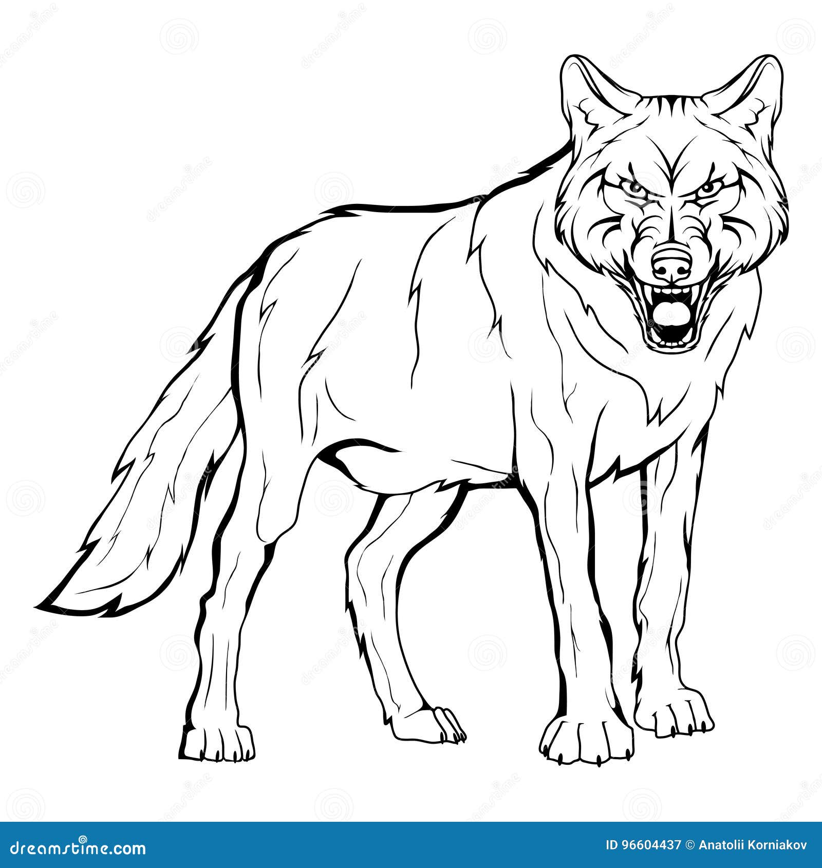 Vector sketch of a wolf. stock vector. Illustration of husky - 96604437