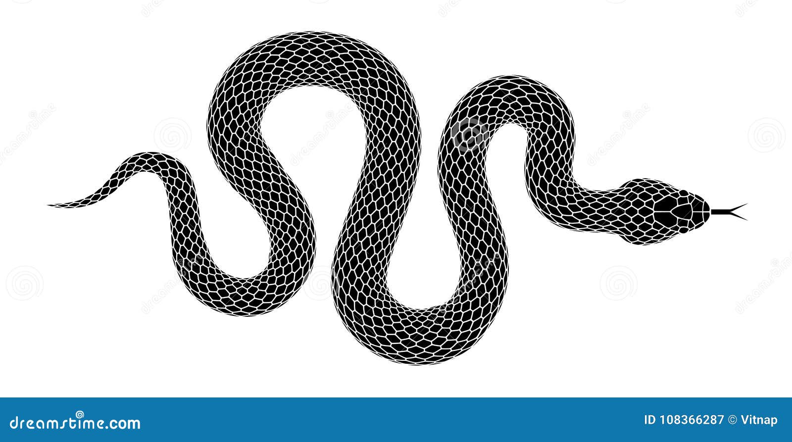 black and white snake images