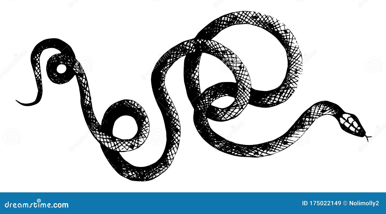   snakes pencil drawing, vintage style graphic black and white, viper, python