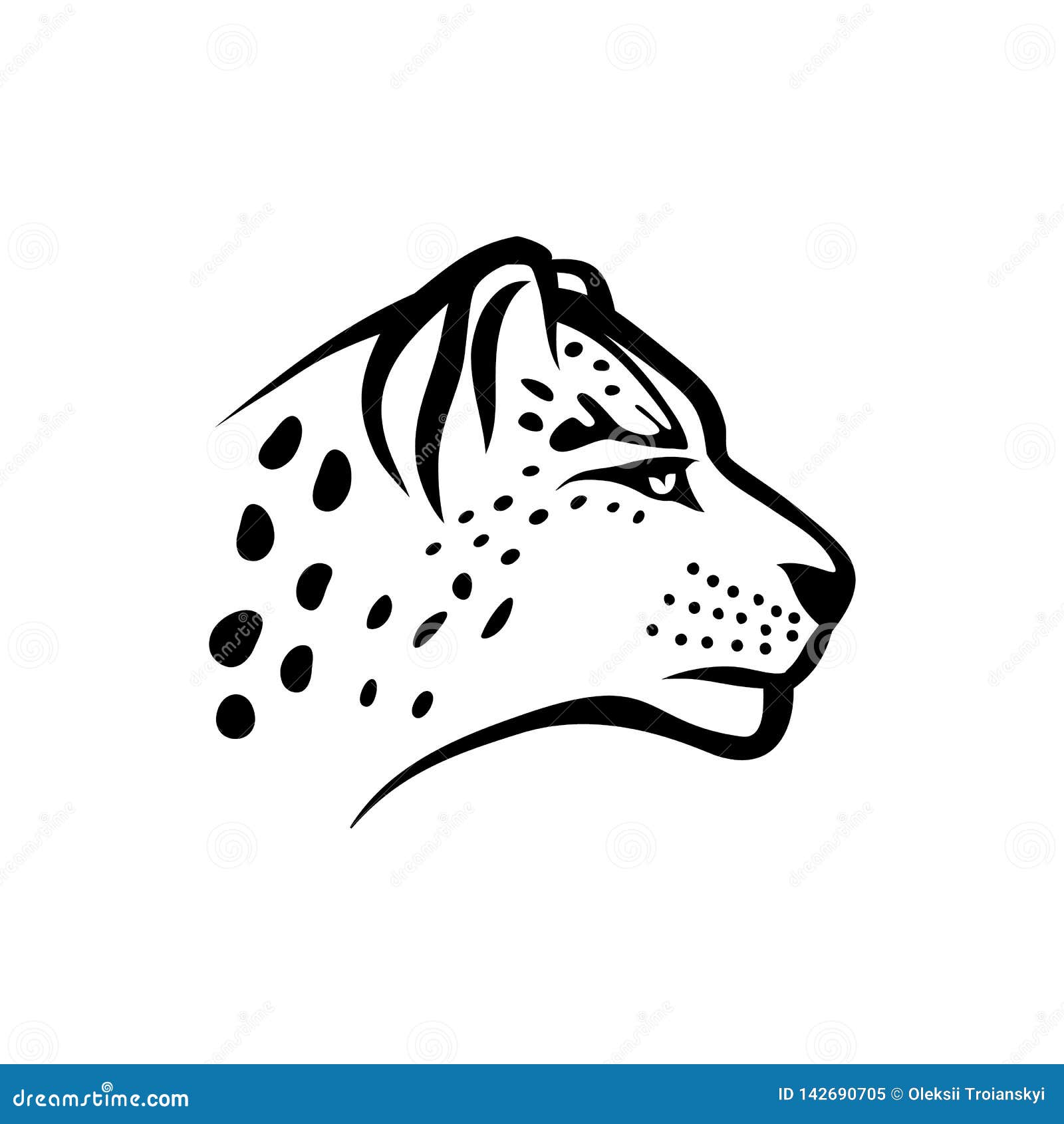 Vector Snow Leopard. Snow Leopard Head Linear Isolate Illustration On