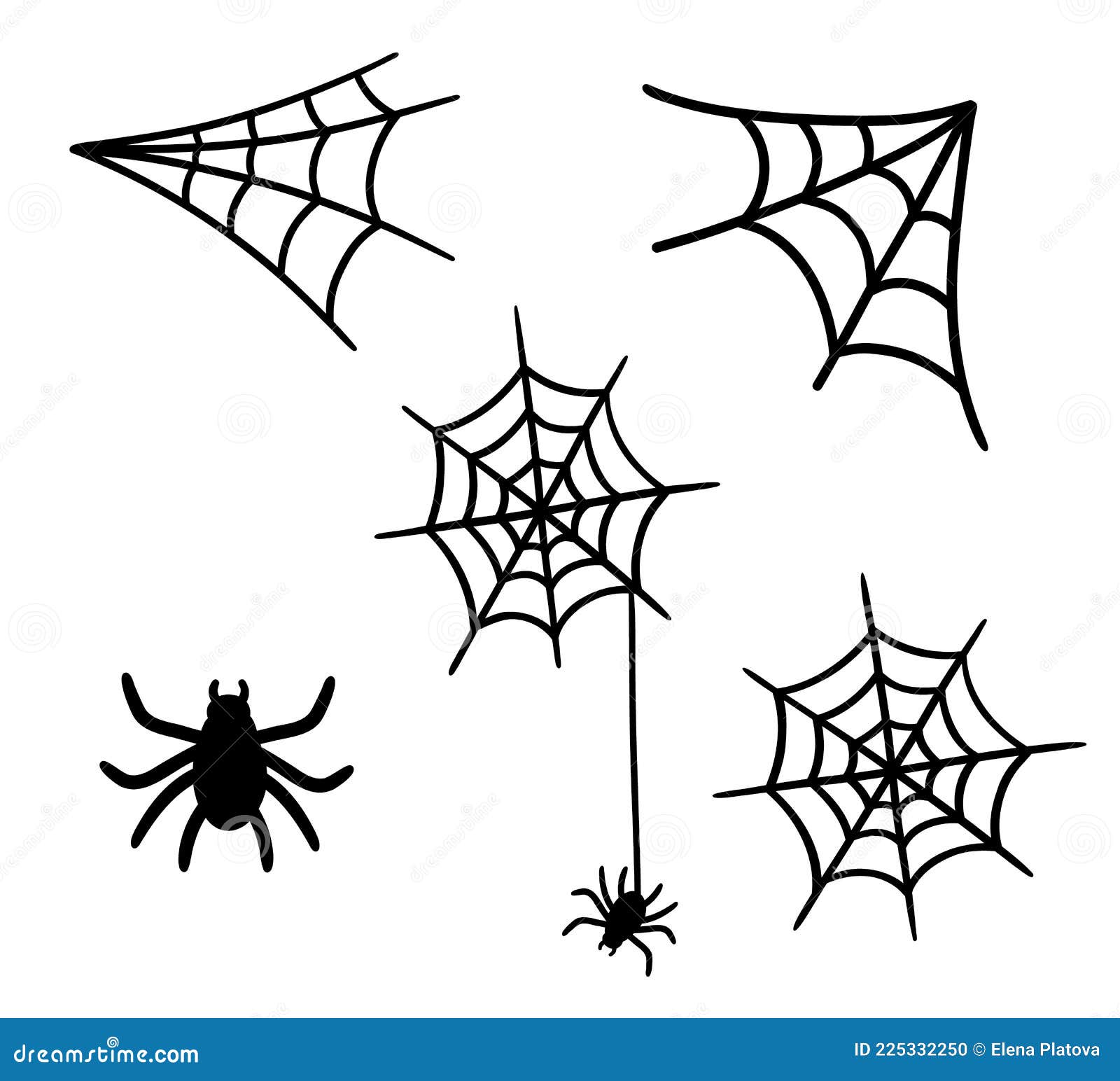  spider web and small spider  on white background.