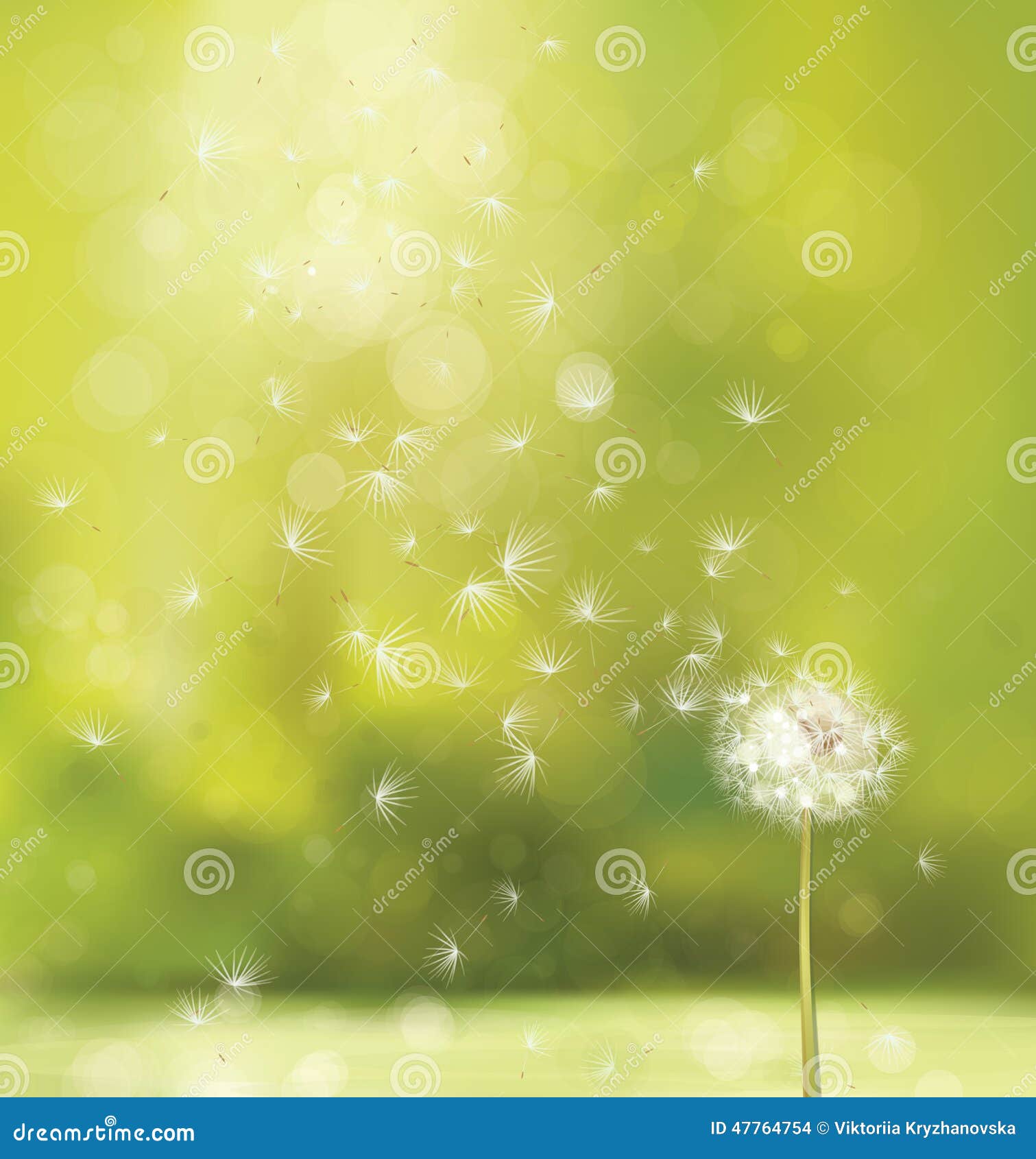 Vector Spring Background with White Dandelion. Stock Vector ...