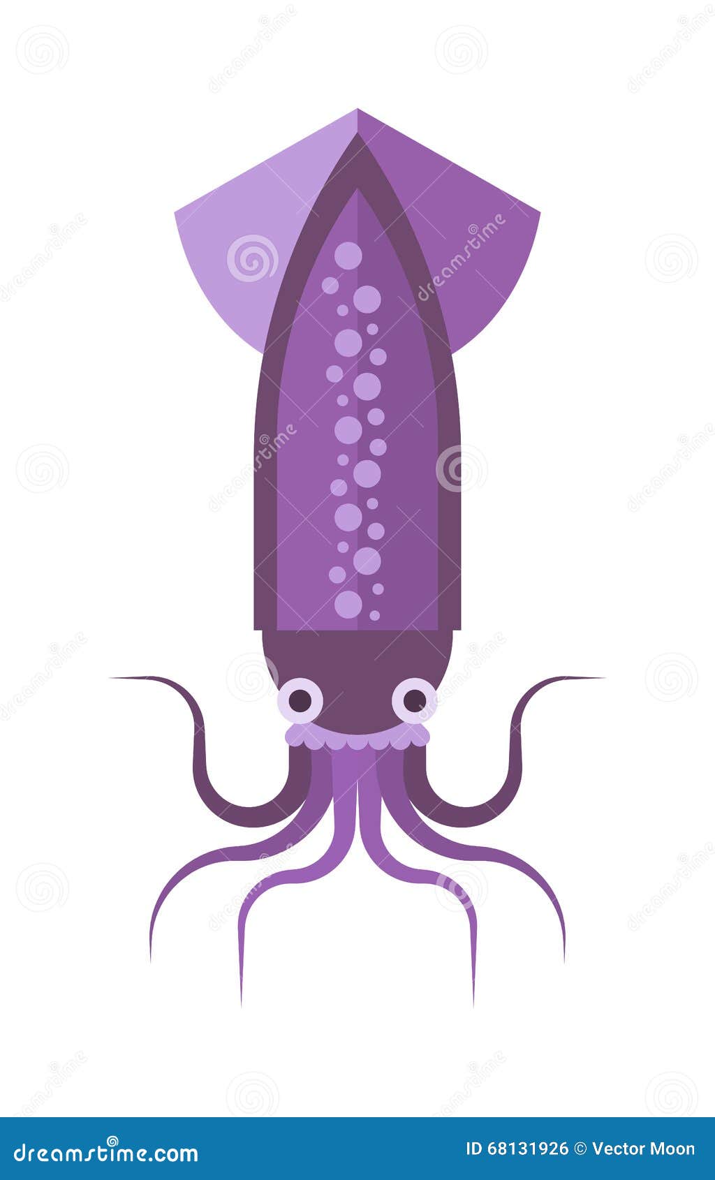  squid cartoon marine .