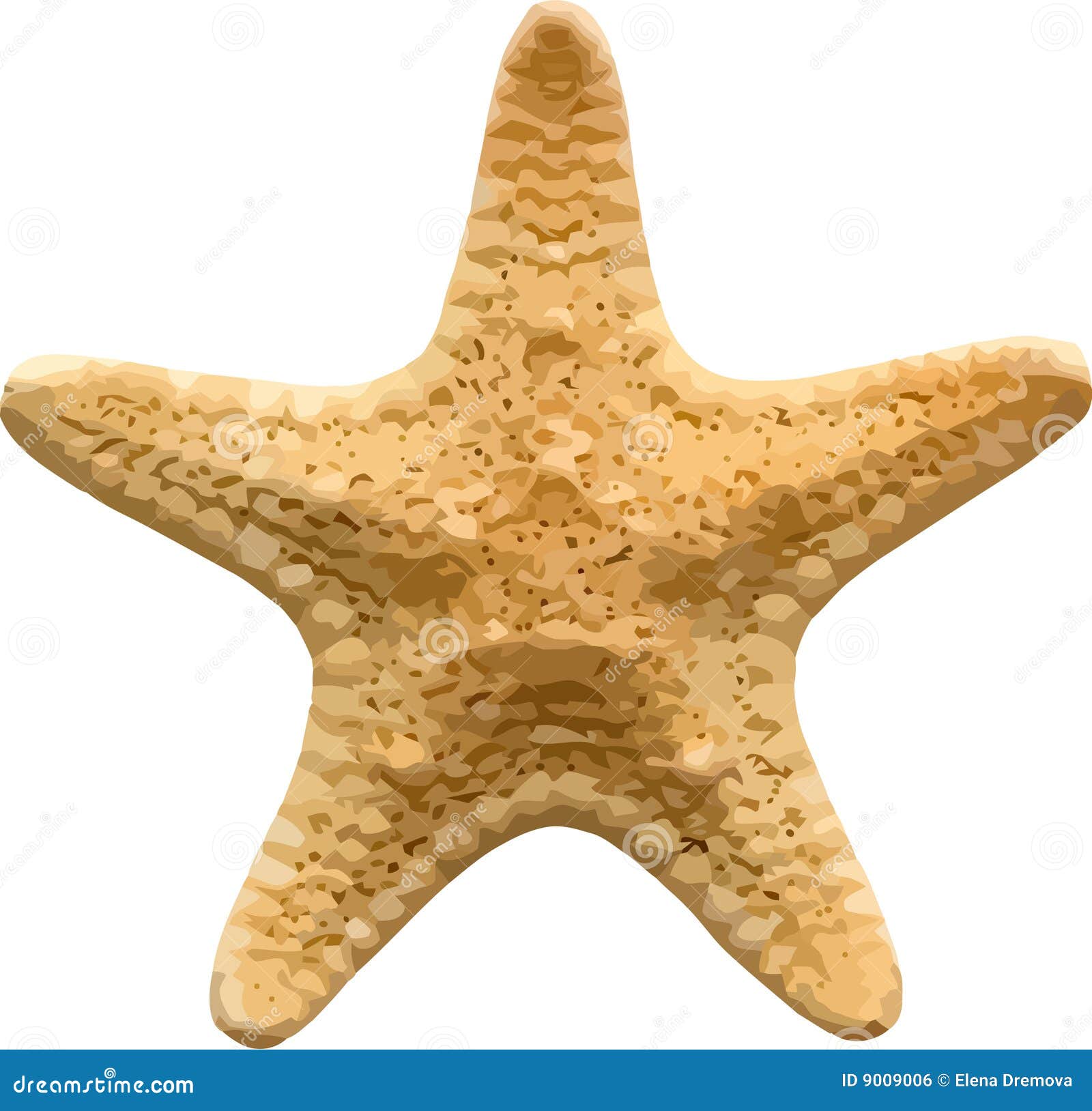 Download Vector starfish stock vector. Image of object, animal ...