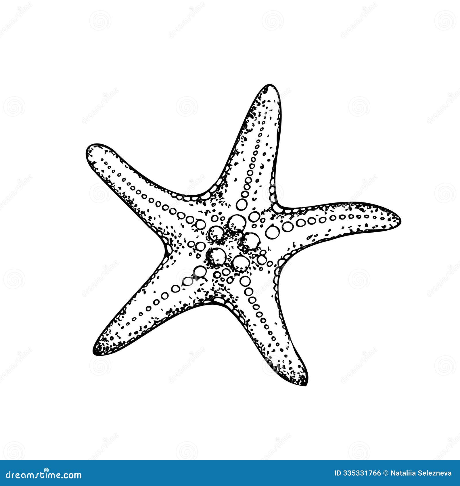  starfish. hand painted line sketch. graphic tropical clip art  on background. underwater 