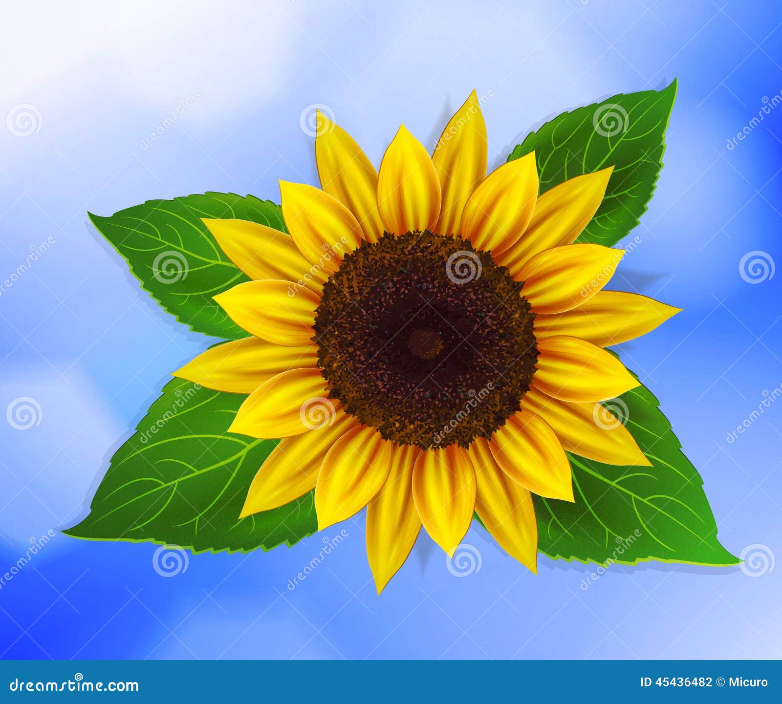 Download Vector Sunflower With Leaves Stock Illustration ...