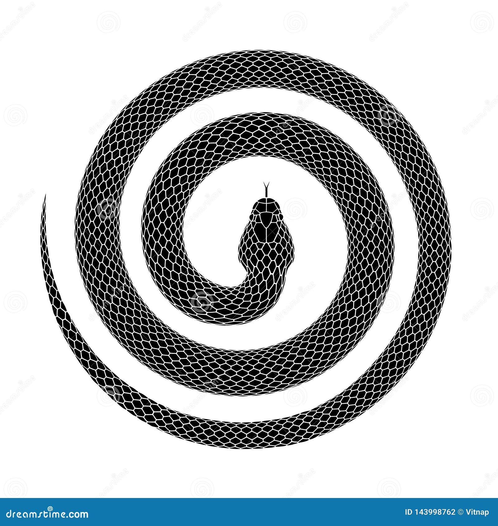 Vector Tattoo Design of a Snake Curled into a Spiral Shape with Head in the  Center Stock Vector - Illustration of bent, helix: 143998762