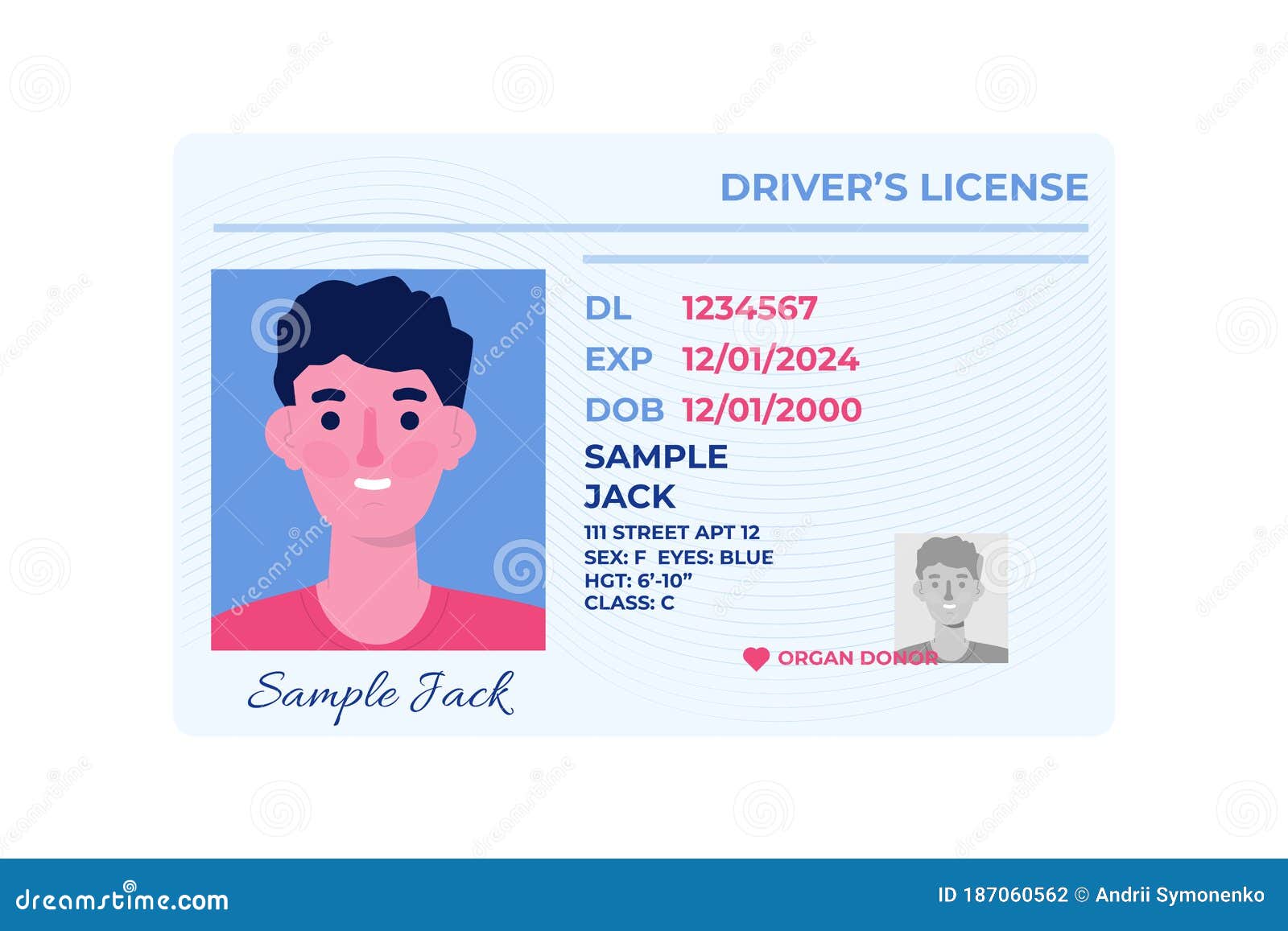 Vector template of sample driver license plastic card for USA