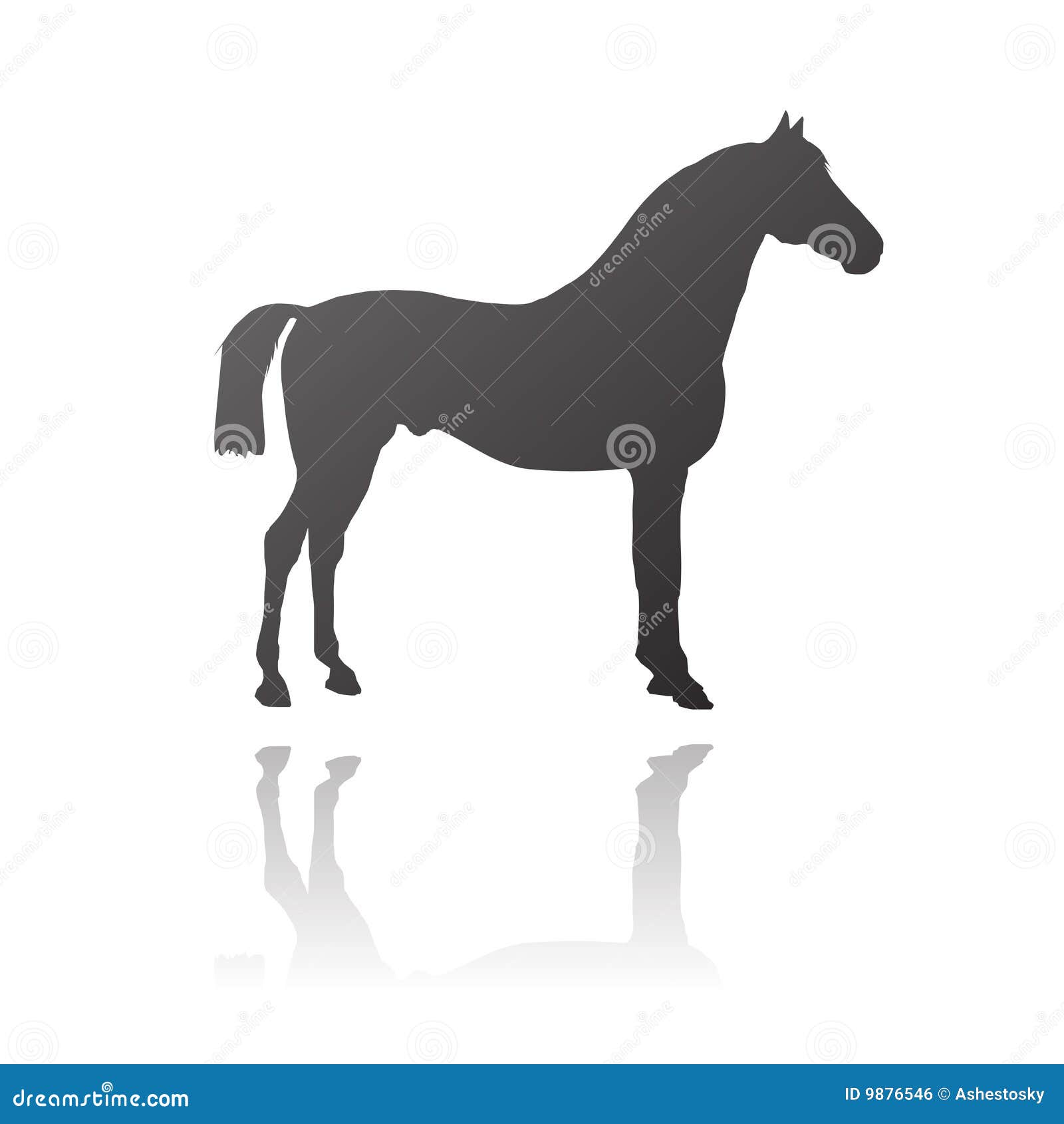  thoroughbred horse