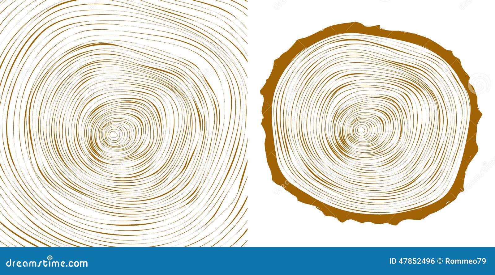 Annual tree growth rings with brown tones drawing of the cross-section of a tree  trunk - SuperStock