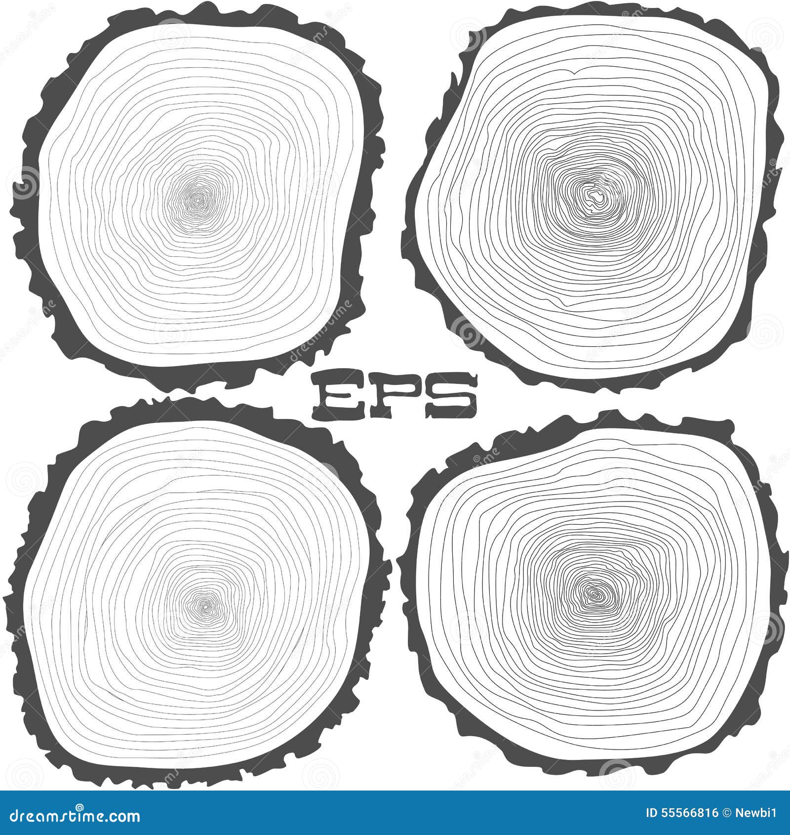Tree Rings in Recently Cut Eucalyptus Tree Trunk Stock Photo - Image of  crosssection, rings: 211650874