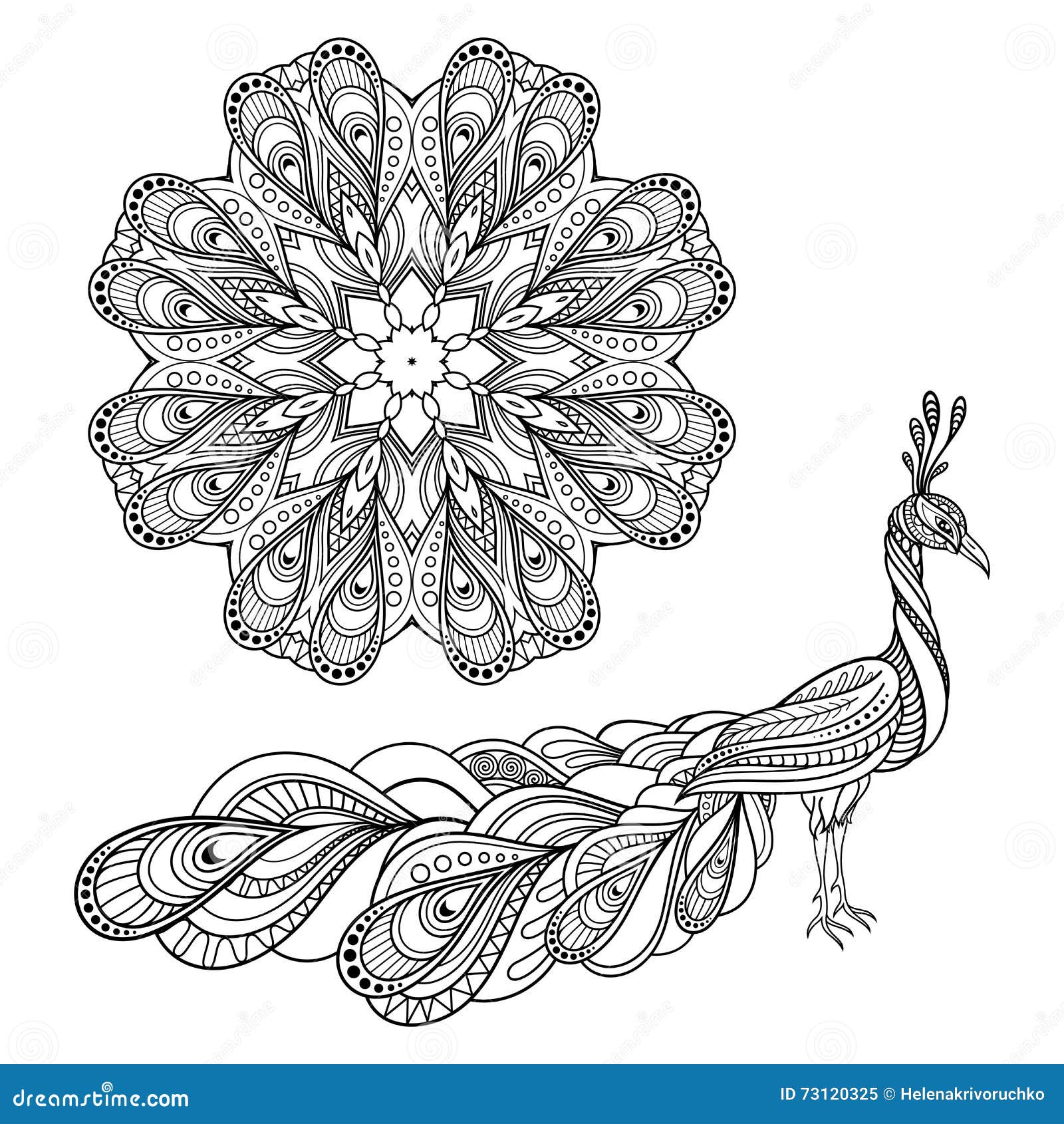 stock illustration vector tribal decorative peacock mandala objects transparent background zentangle style image