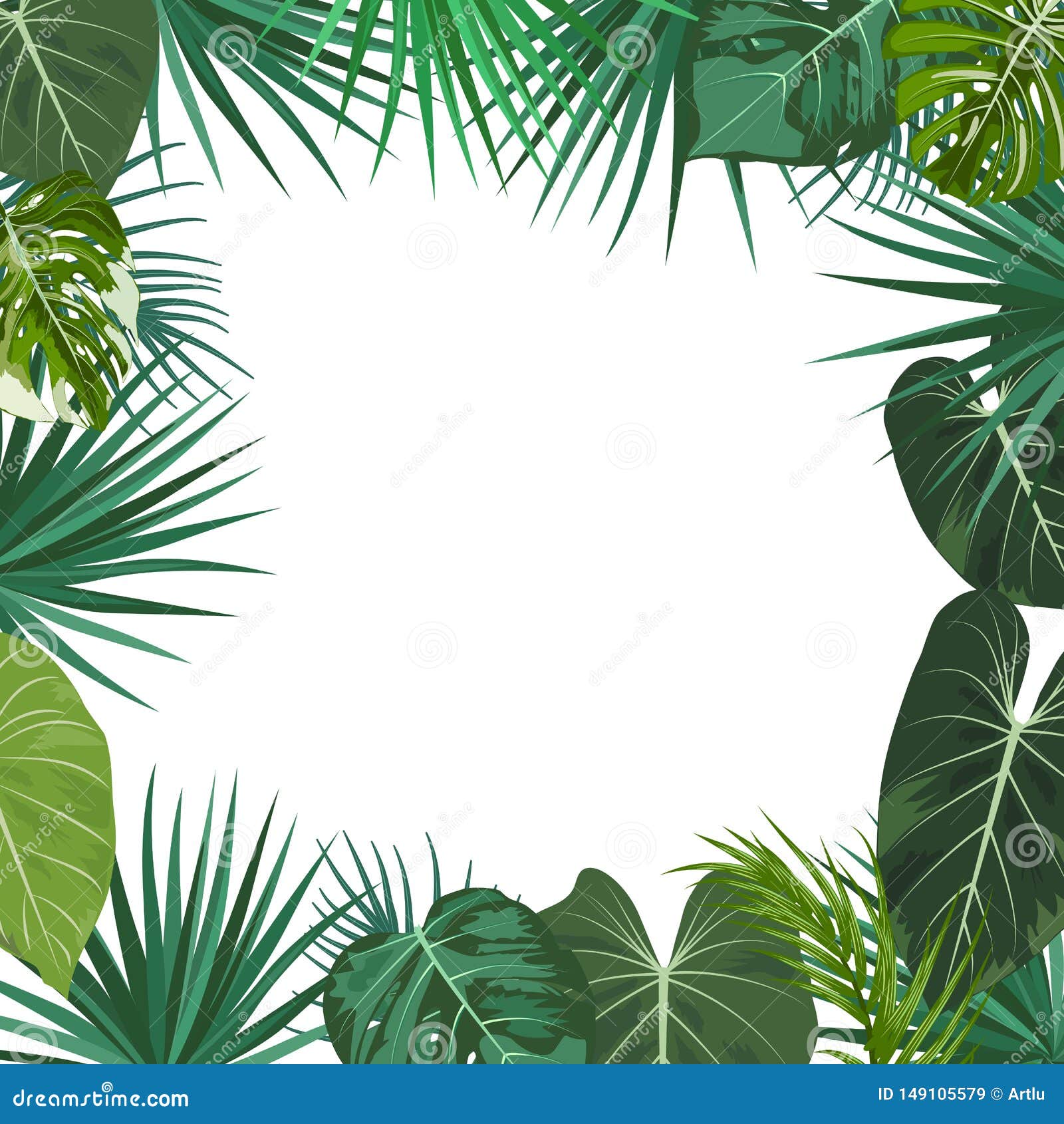 Vector Tropical Jungle Frame with Palm Trees, Flowers and Leaves on ...