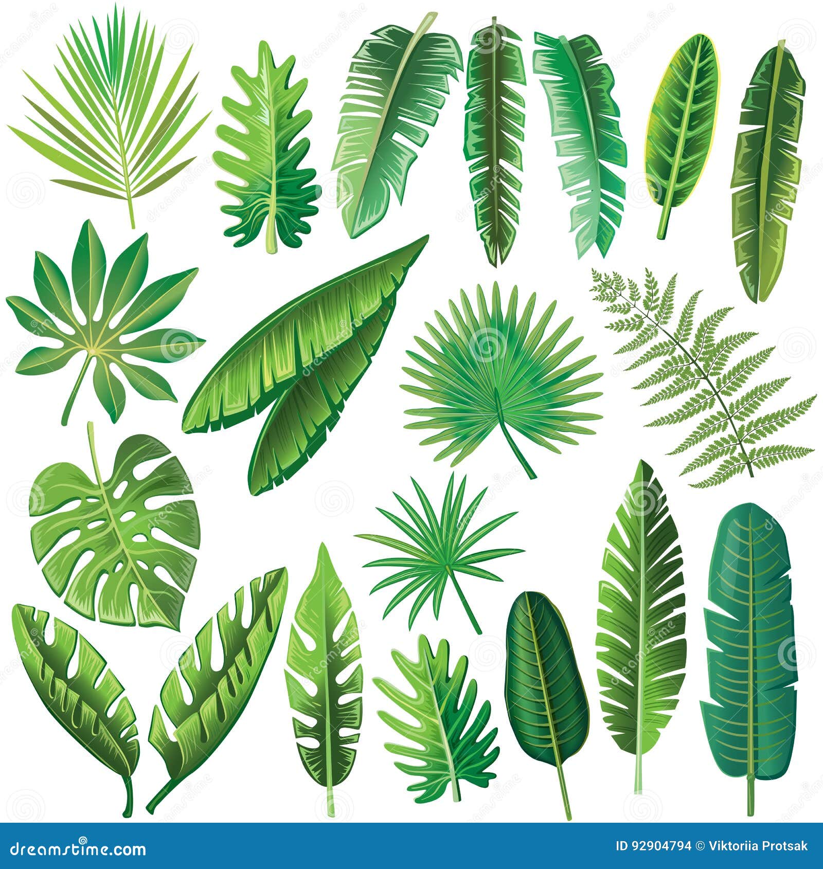 Vector tropical leaves stock vector. Illustration of background - 92904794